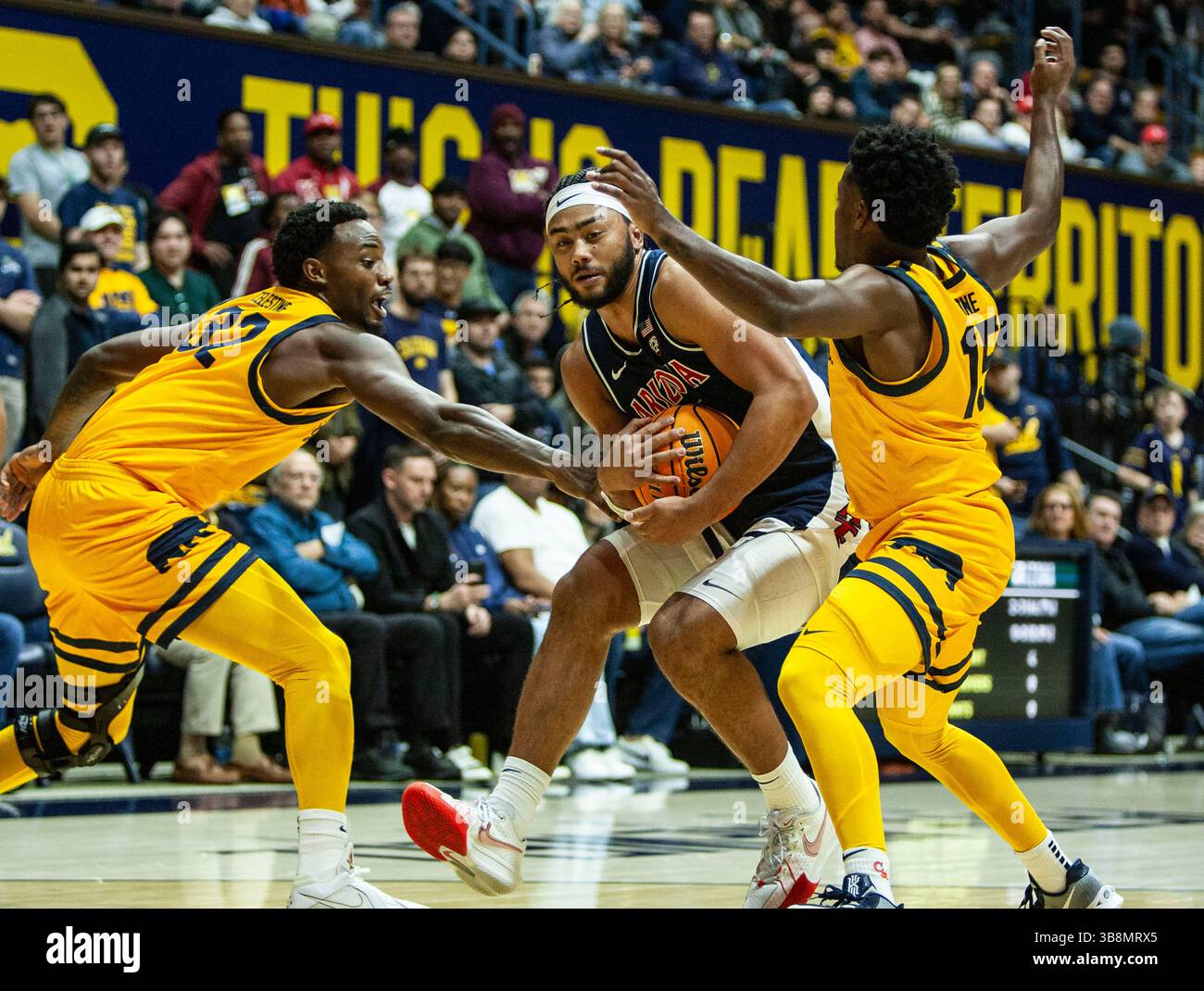 29. Dezember 2023 Berkeley, CA USA Arizona-Garant Kylan Boswell (4) geht während des NCAA Men's Basketball Spiels zwischen Arizona Wildcats und den California Golden Bears zum Basketball. Arizona schlug Kalifornien100-81 im Haas Pavilion Berkeley Kalifornien Thurman James/CSM (Foto: © Thurman James/CSM via ZUMA Press Wire) Stockfoto