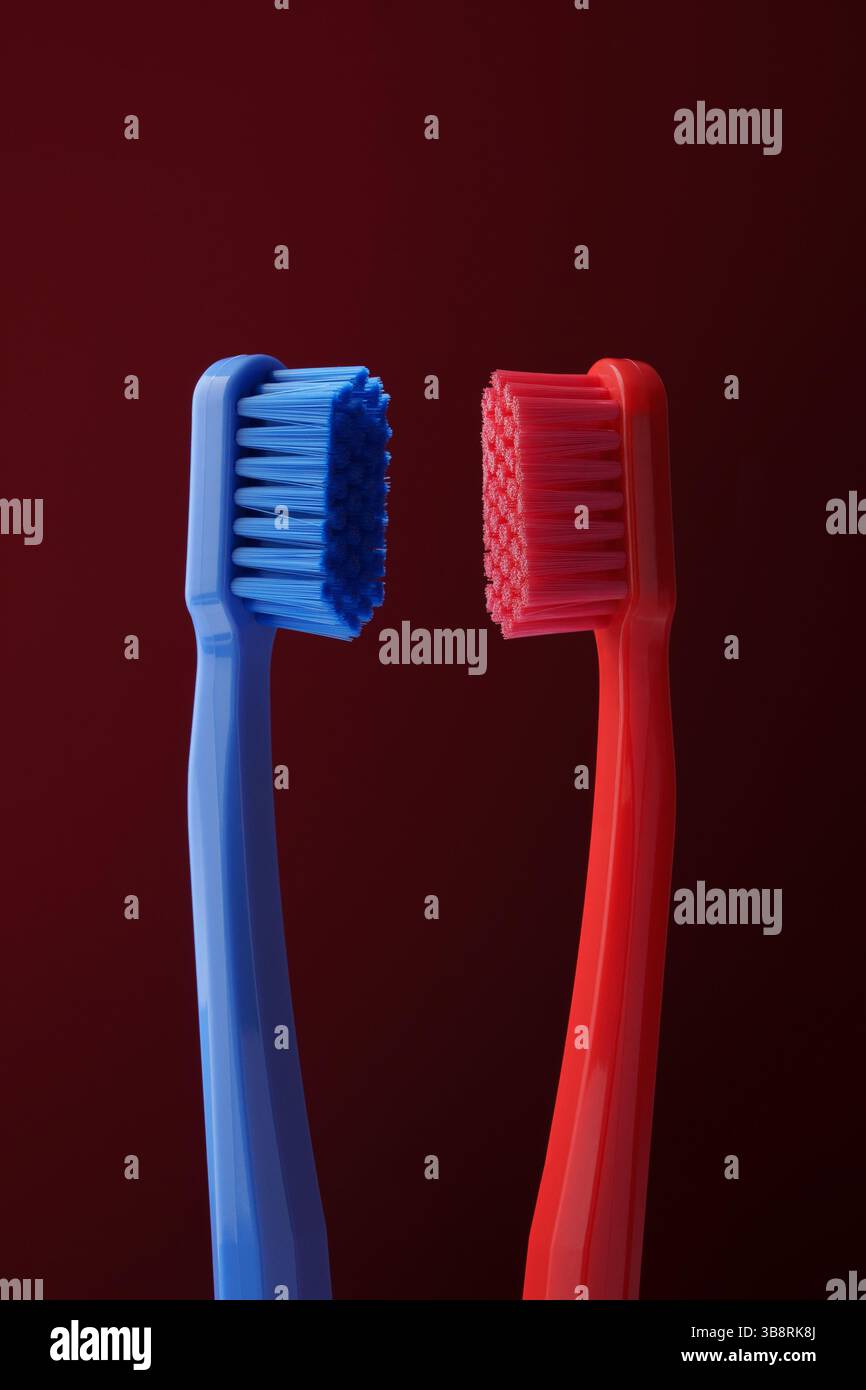 Zwei Zahnbürsten aus Kunststoff rot und blau auf dunkelrotem Hintergrund. Mundhygiene. Morgenroutine. Stockfoto