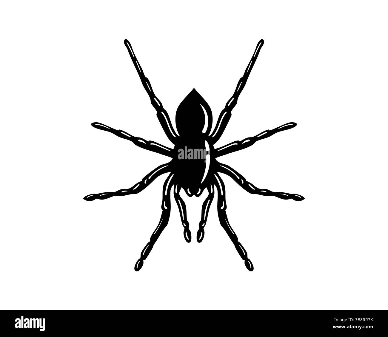 Auffällige schwarze Silhouette einer Spinne auf einem sauberen weißen Hintergrund. Perfekt für Halloween-Designs, Insekten-Illustrationen oder symbolische Darstellungen. B Stock Vektor
