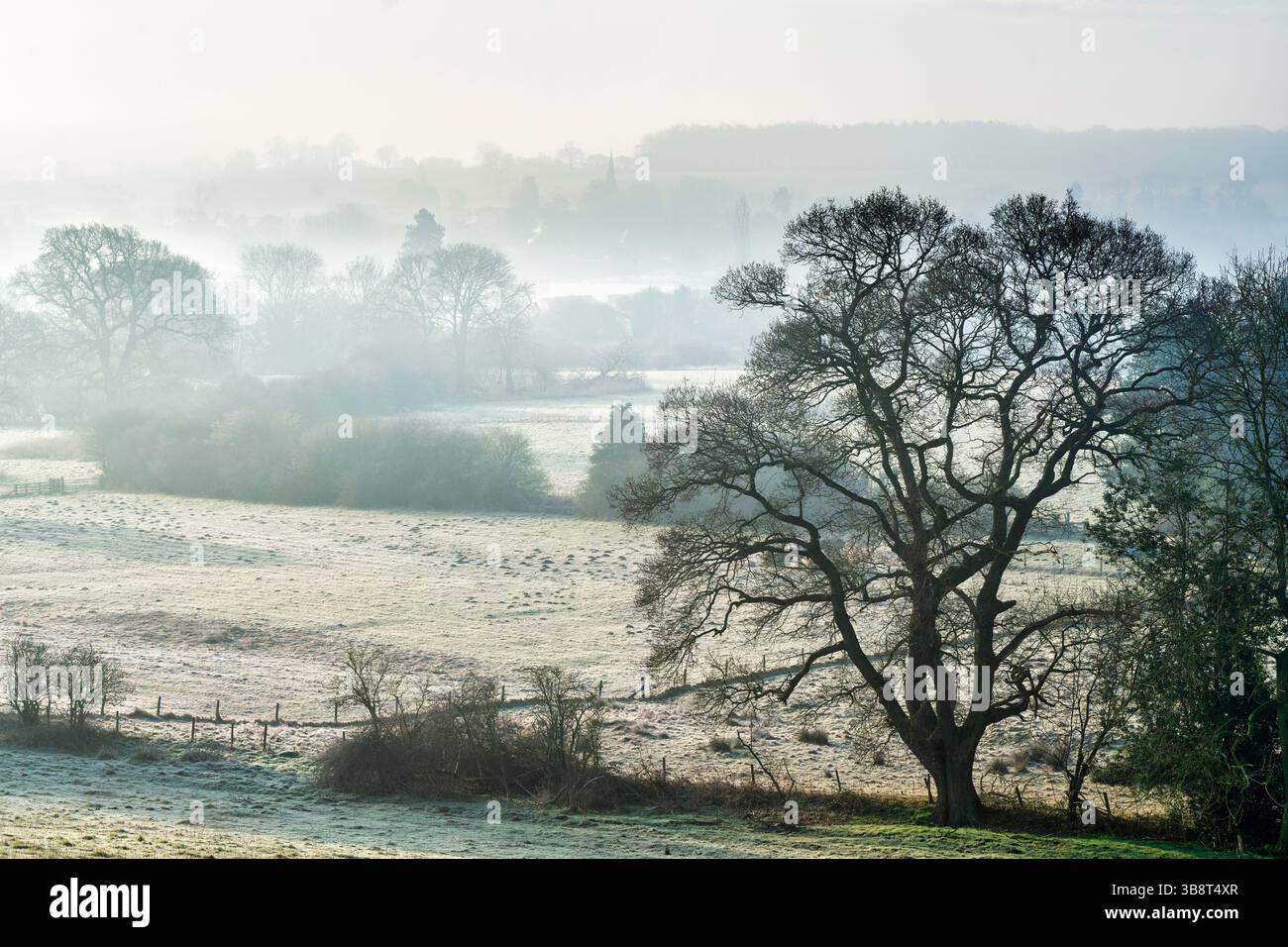 Nebelmorgen im Dorf Welburn, Castle Howard Estate, England Stockfoto