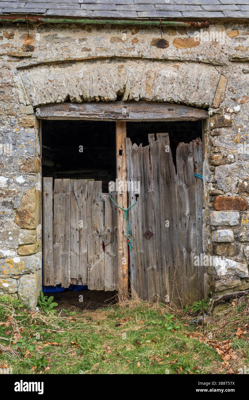 Eine alte Scheunentür. Stockfoto