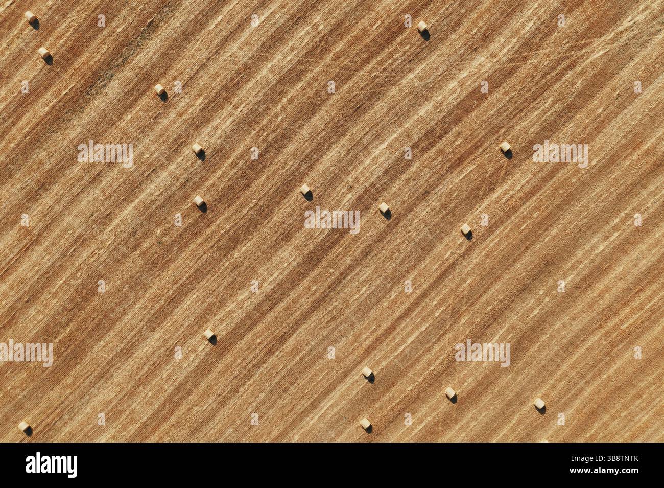 Luftaufnahme der Heuballen auf dem landwirtschaftlichen Feld nach der Ernte. Farmlandschaft. Drone Draufsicht auf gelb geschnittenes Gras gestreiftes Muster auf dem Feld mit ma Stockfoto