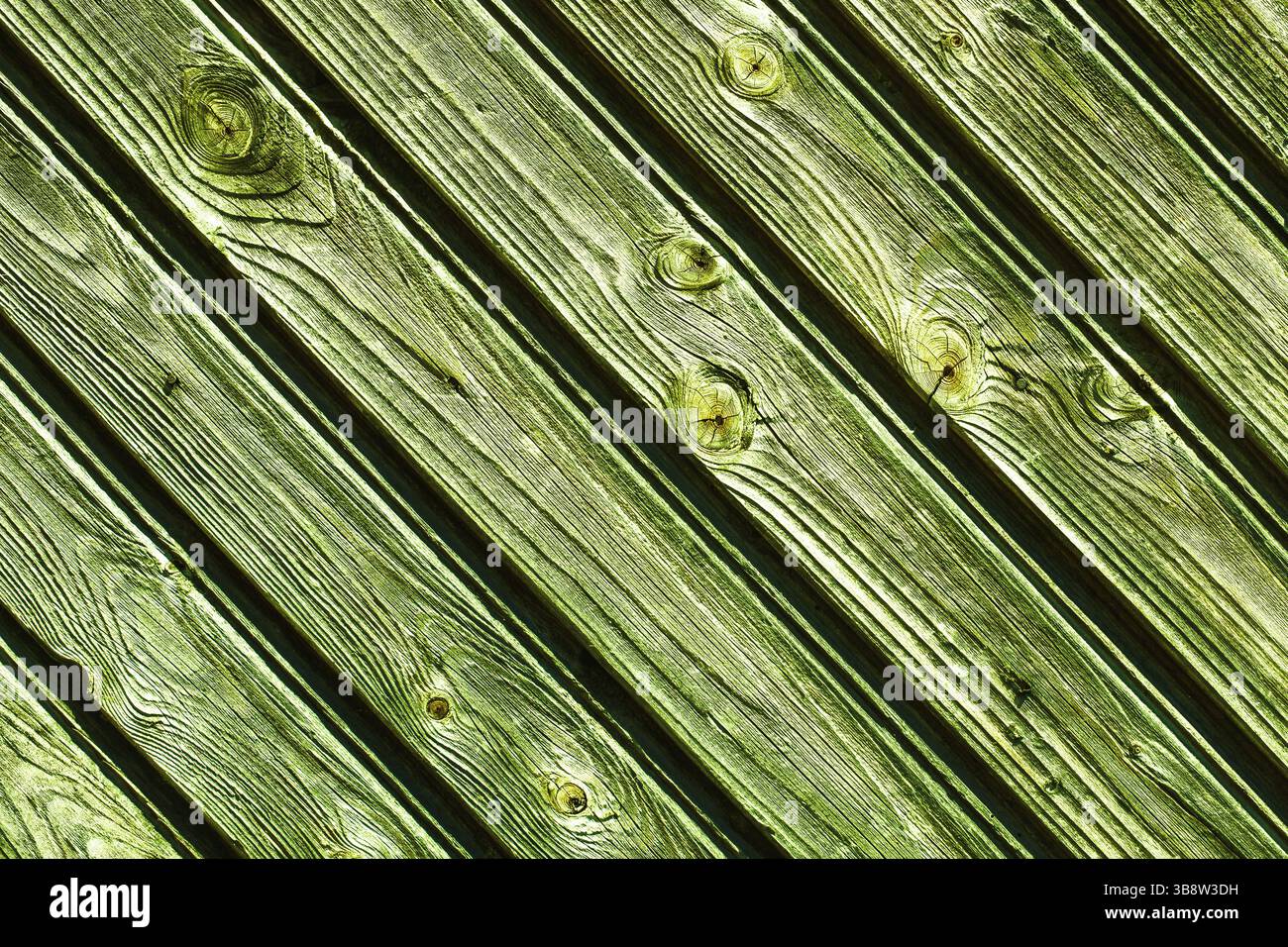 Grün lackierte Holzstruktur. Diagonaldielen mit Knoten und Körnung. Rustikaler Holzhintergrund in hellem Grünton. Abstraktes Naturmaterialmuster. Stockfoto