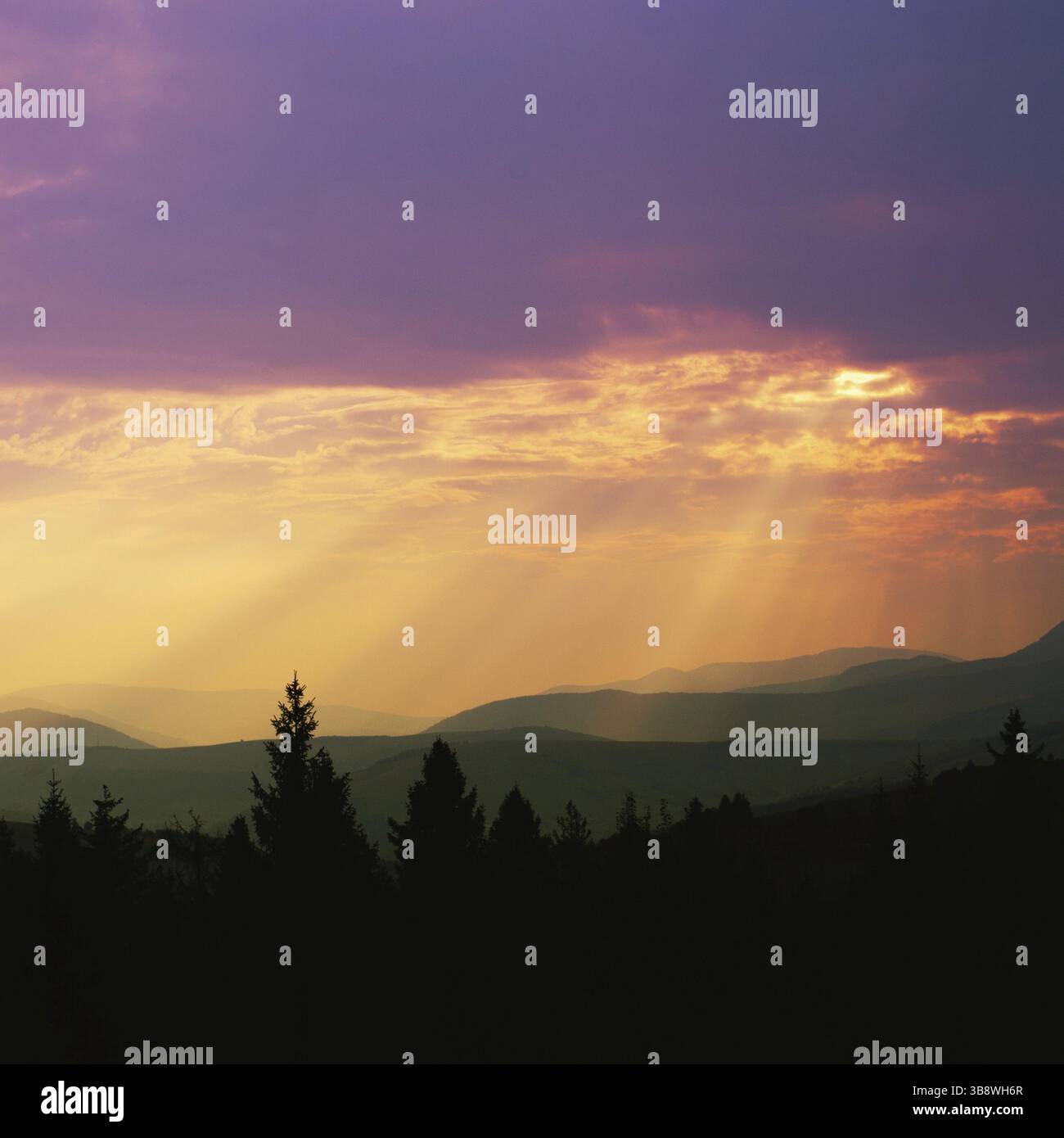 Wunderschöner Blick auf die Berghänge im Morgennebel über den karpatischen Bergen Stockfoto