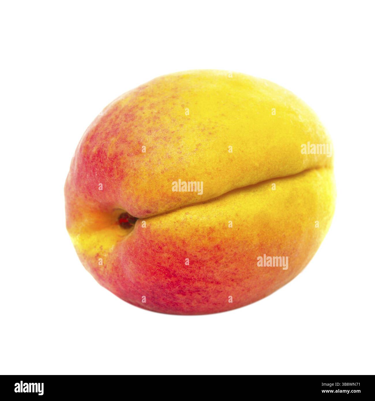 Eine Aprikose Frucht isoliert auf weißem Hintergrund Stockfoto