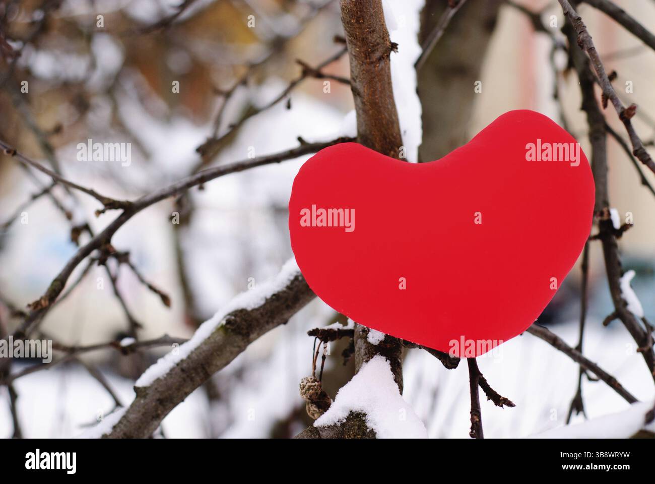 Rotes Herz auf Schnee Baum hautnah. Valentine-Konzept Stockfoto