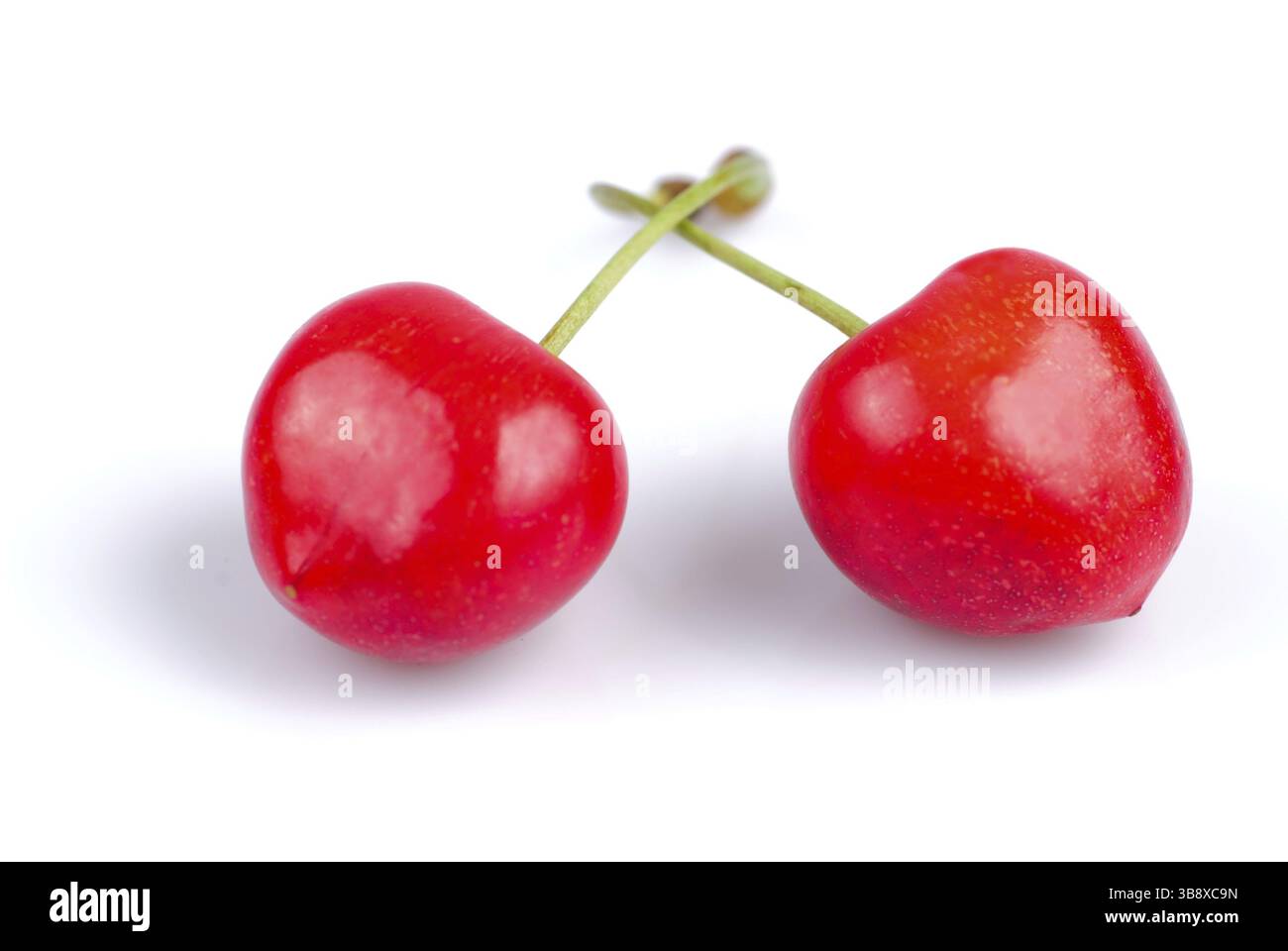 Kirsche auf weiß mit Obst Hintergrund isoliert Stockfoto