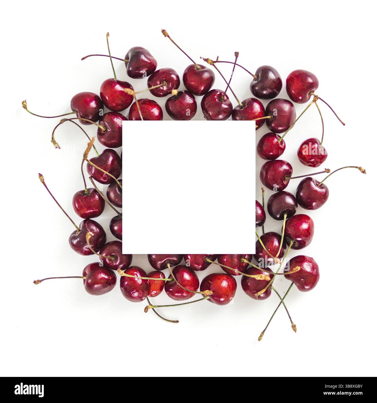 Kreatives Layout mit frischen reifen Beeren. Cherry isoliert auf weißem Hintergrund mit weißen Quadrat für Kopieren. Nutzen Sie für Ihr Design, Promo, soziale Stockfoto