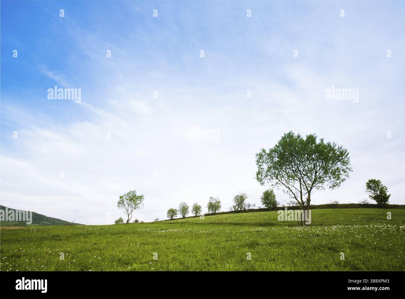 Felder und Wiesen in Berge und Himmel Stockfoto