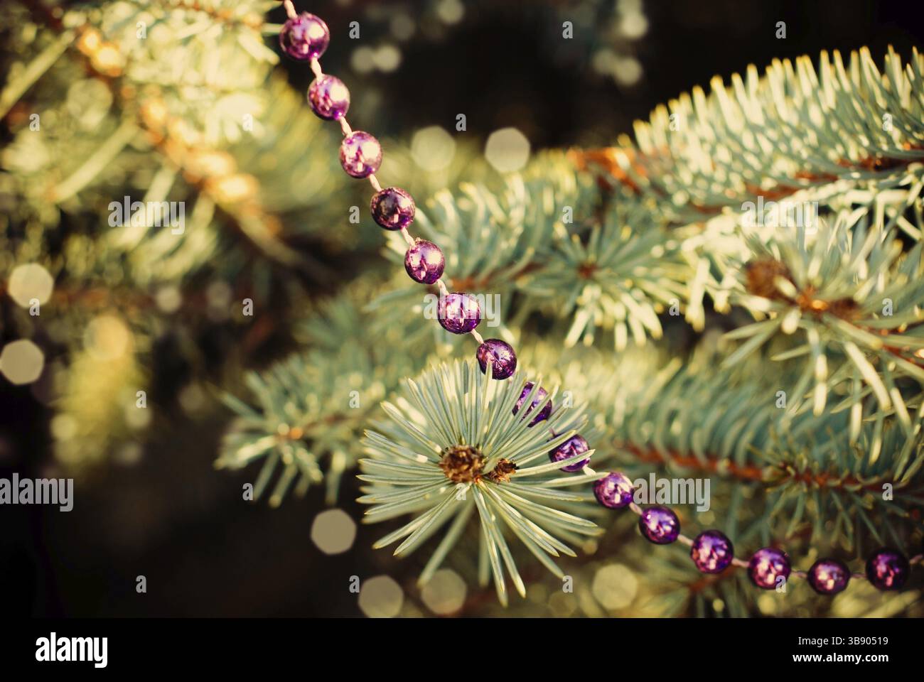Verzierte Tannenbaumzweig für die Neujahrsfeier Stockfoto