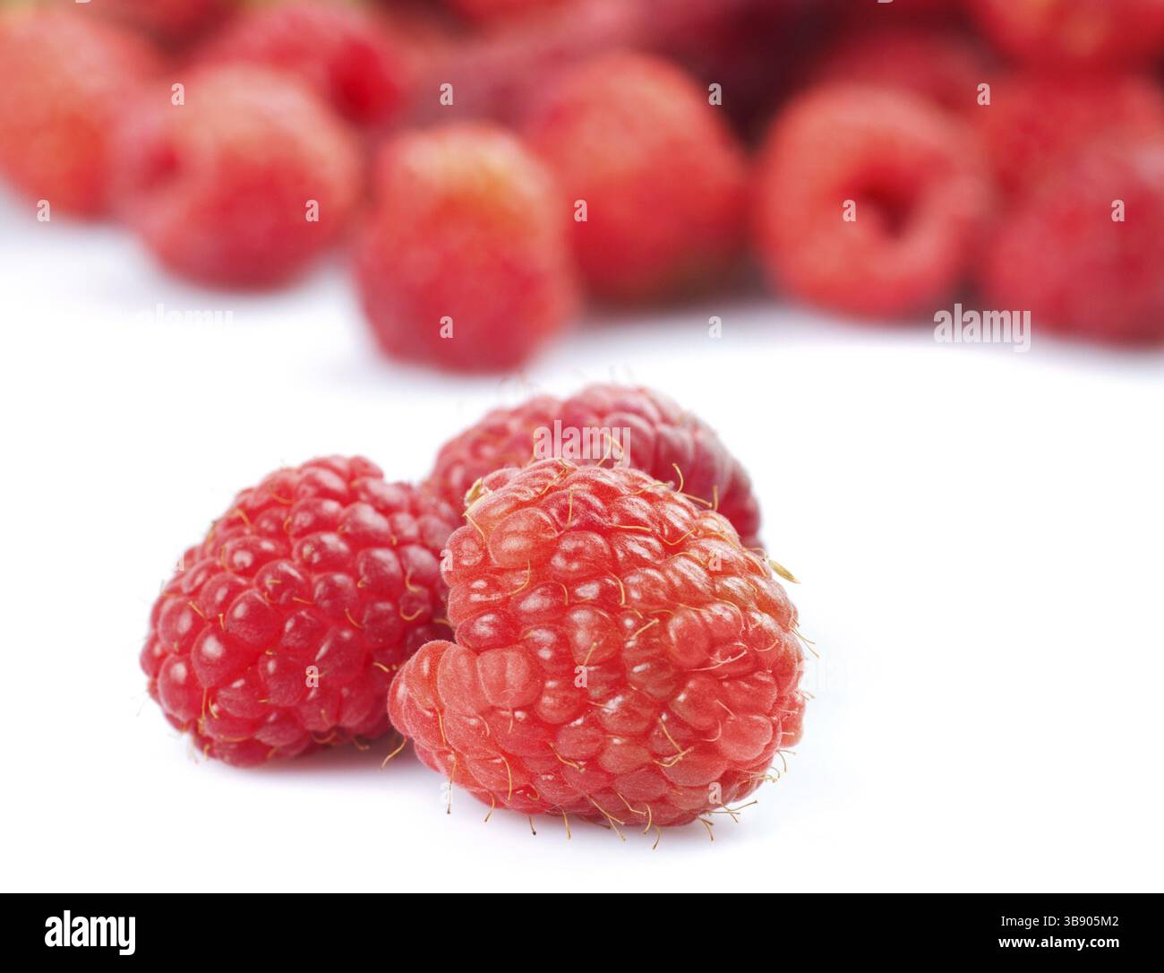Himbeeren auf weiß mit Obst Hintergrund isoliert Stockfoto