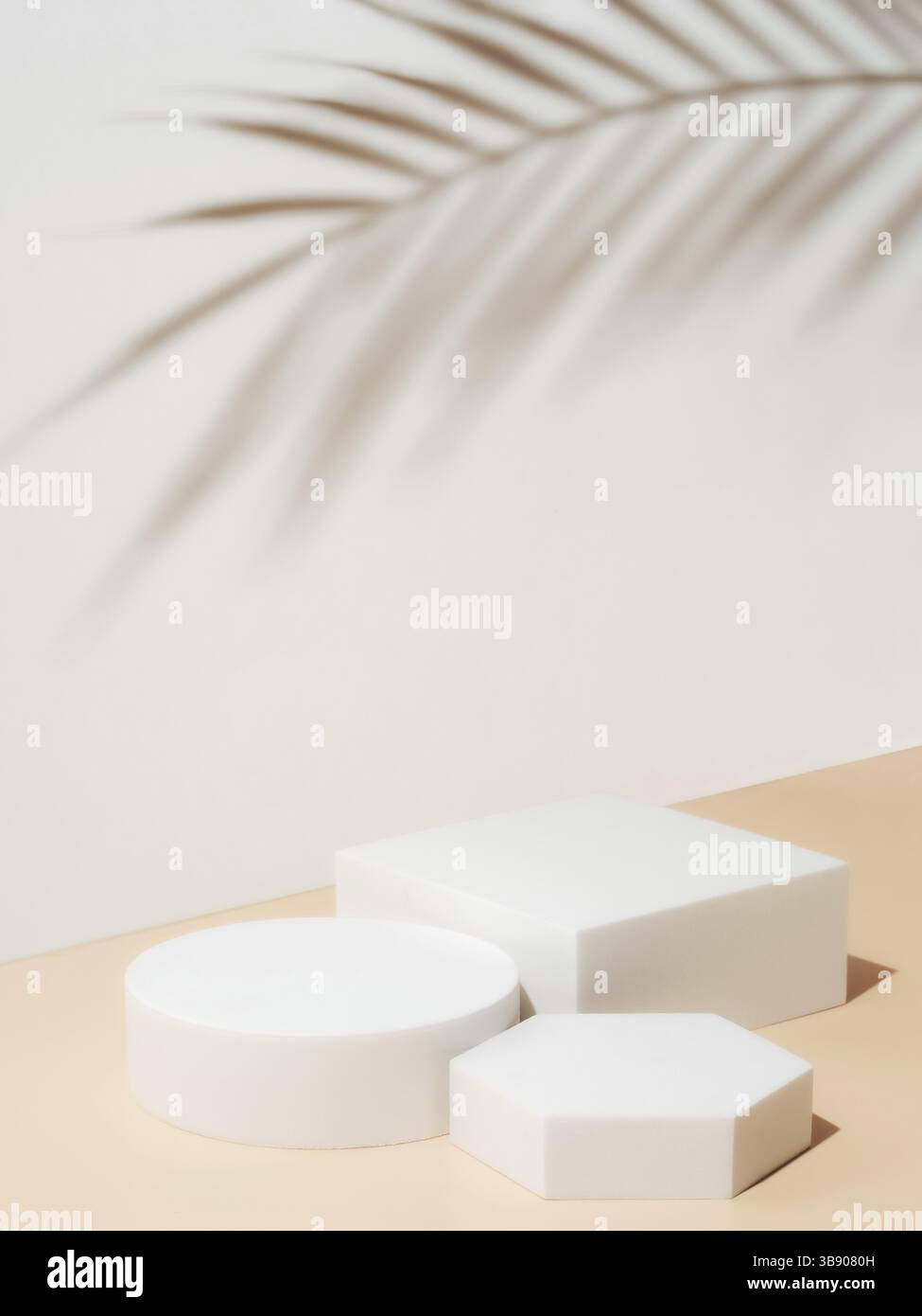 Set aus verschiedenen geometrischen Formen als leere Sockel auf pastellfarbenem Hintergrund. Mockup für Kosmetik, Verpackung, Produktpräsentation mit tropischem Blatt Sha Stockfoto