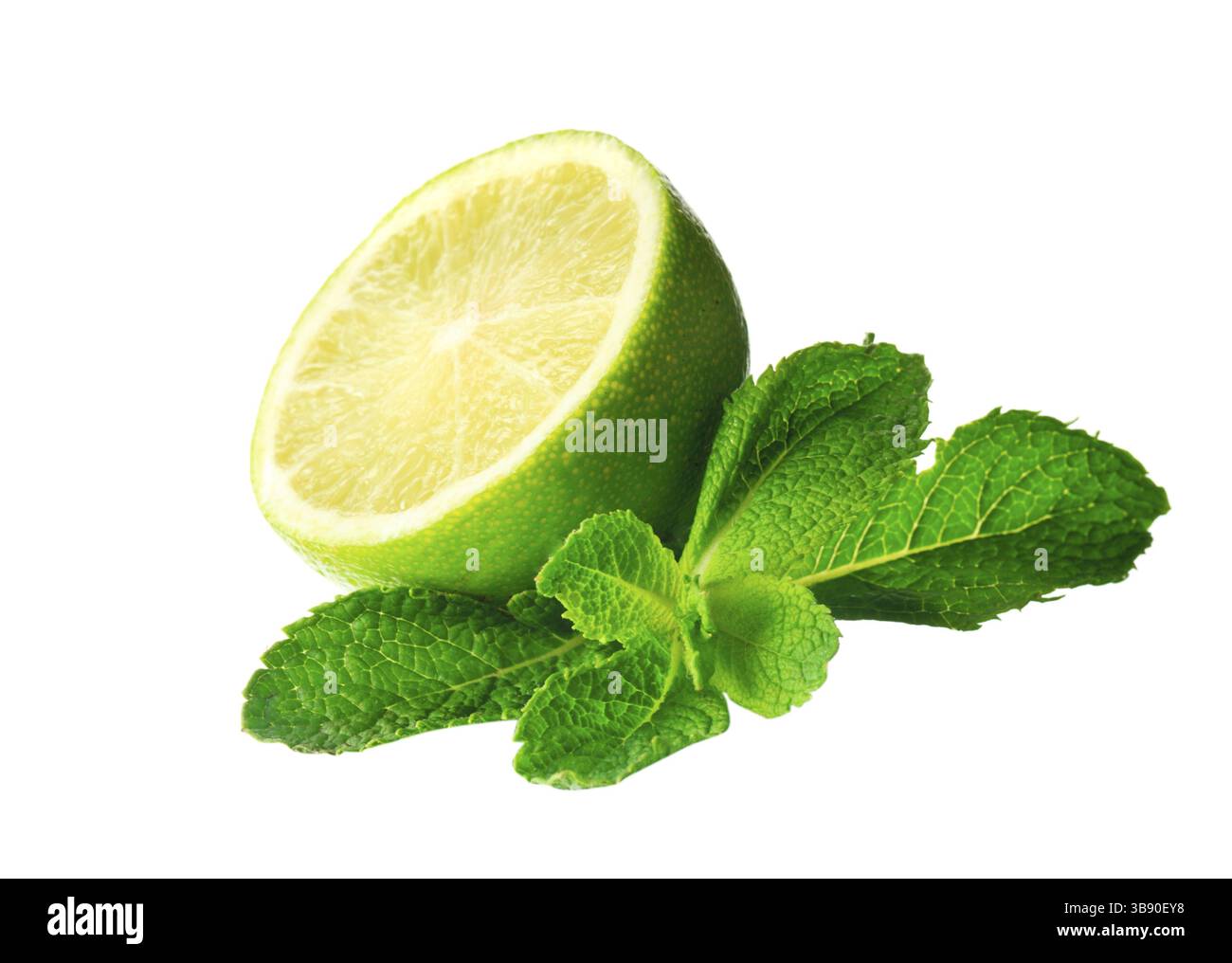 Minze und Limette isoliert auf weißem Hintergrund Stockfoto