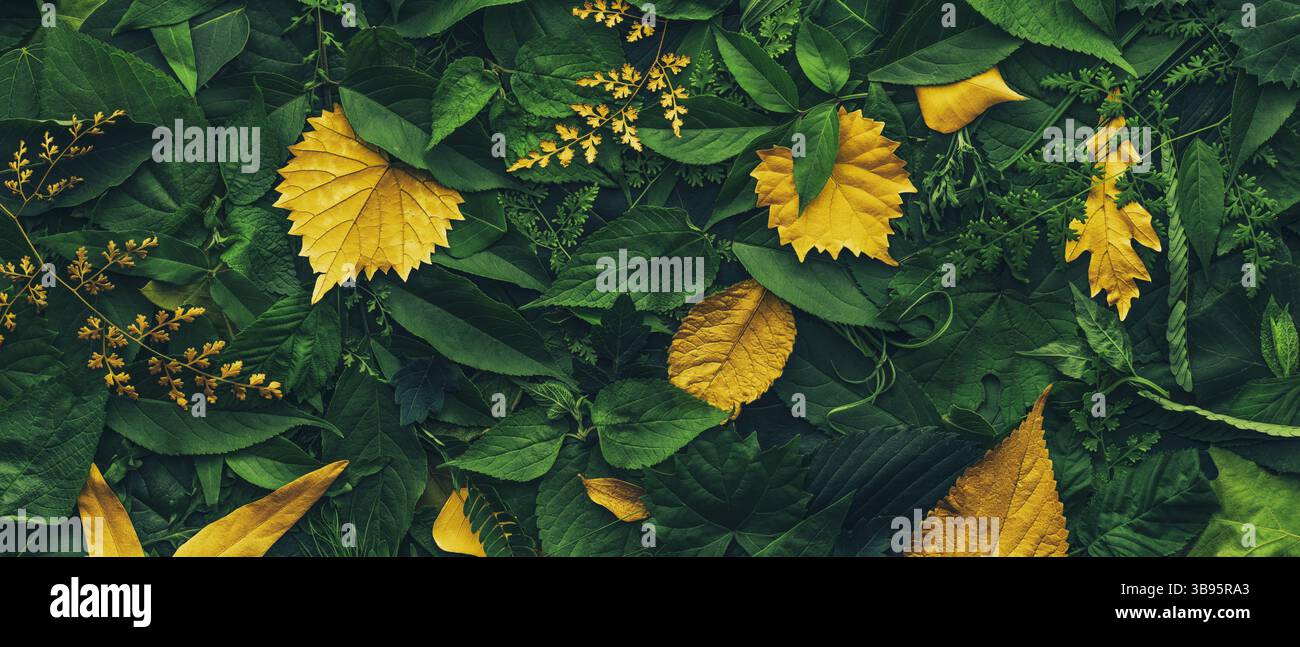 Laubhintergrund mit einer Vielzahl von lebendigen Pflanzenblättern, die ein vielfältiges Ökosystem und die Artenvielfalt der Natur mit einzigartigen goldenen Pflanzenblättern zeigen. De Stockfoto