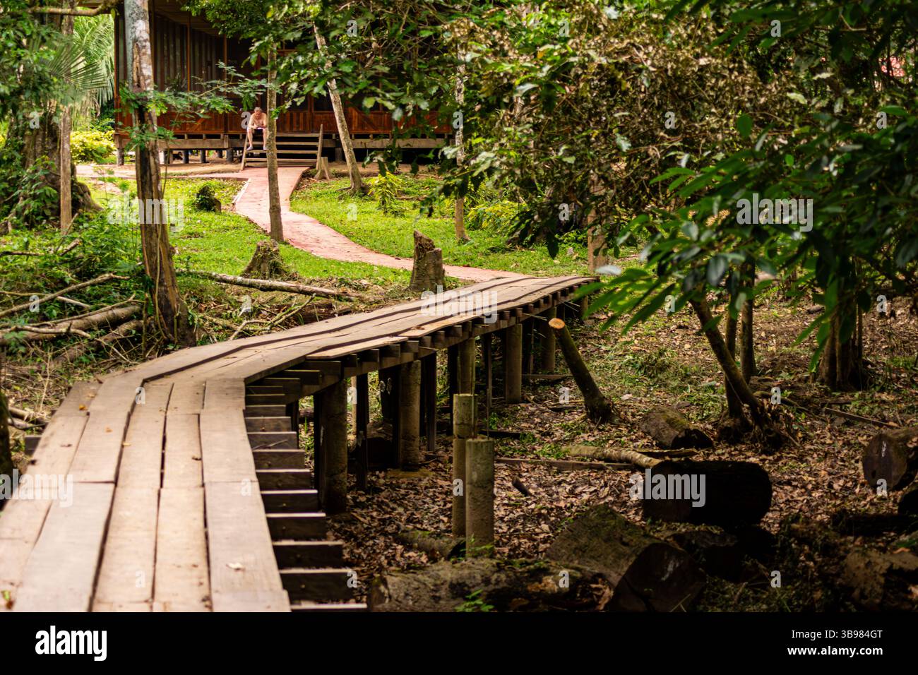 Pfad und kleine Brücke mitten im peruanischen Amazonas-Regenwald Stockfoto