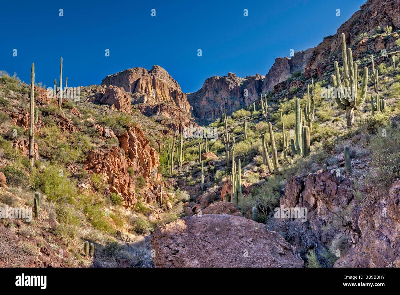 Klippen in den Mazatzal Mountains, über Apache Trail, Fish Creek Hill und Tonto National Forest, Arizona, USA Stockfoto