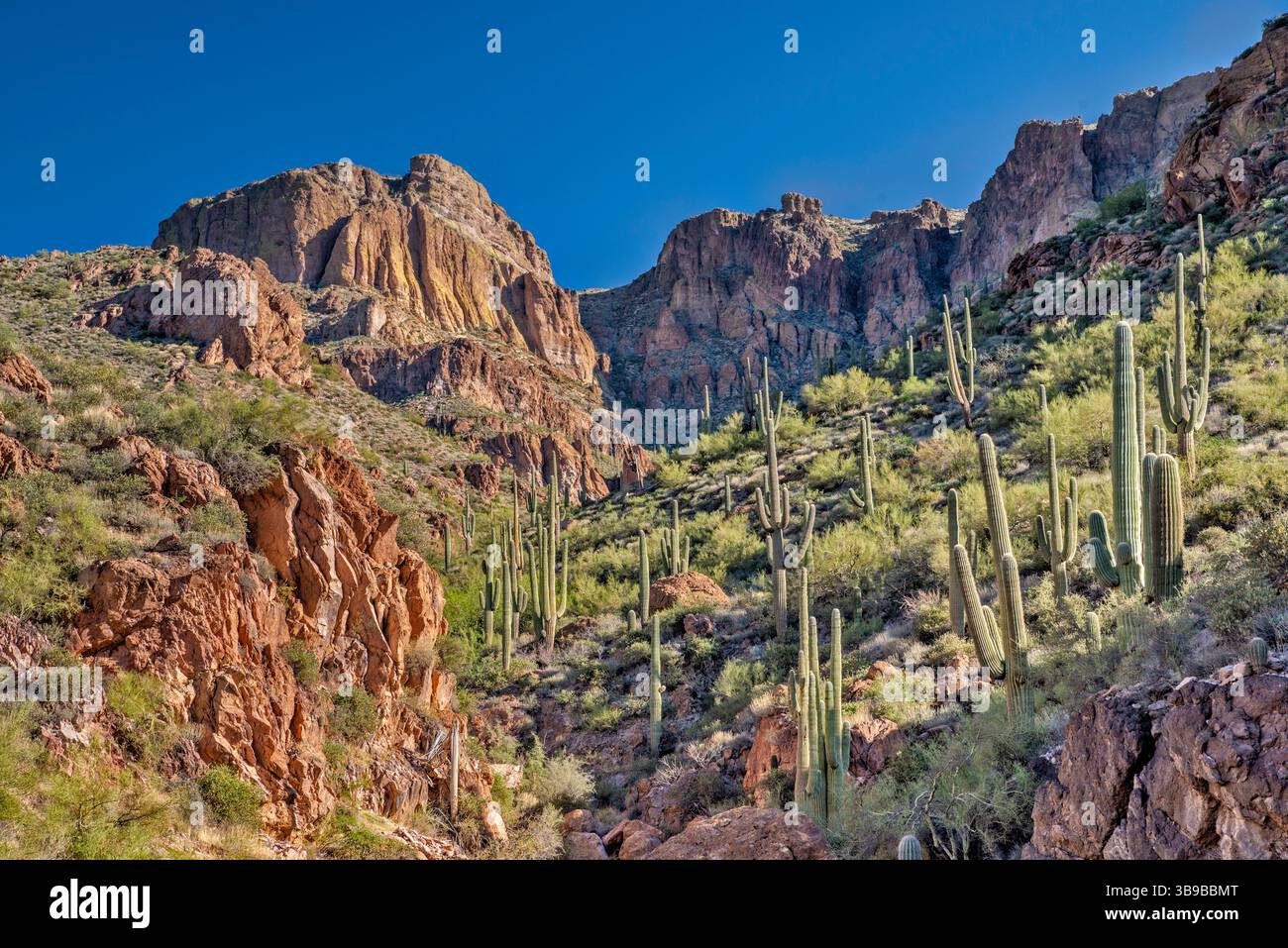 Klippen in den Mazatzal Mountains, über Apache Trail, Fish Creek Hill und Tonto National Forest, Arizona, USA Stockfoto