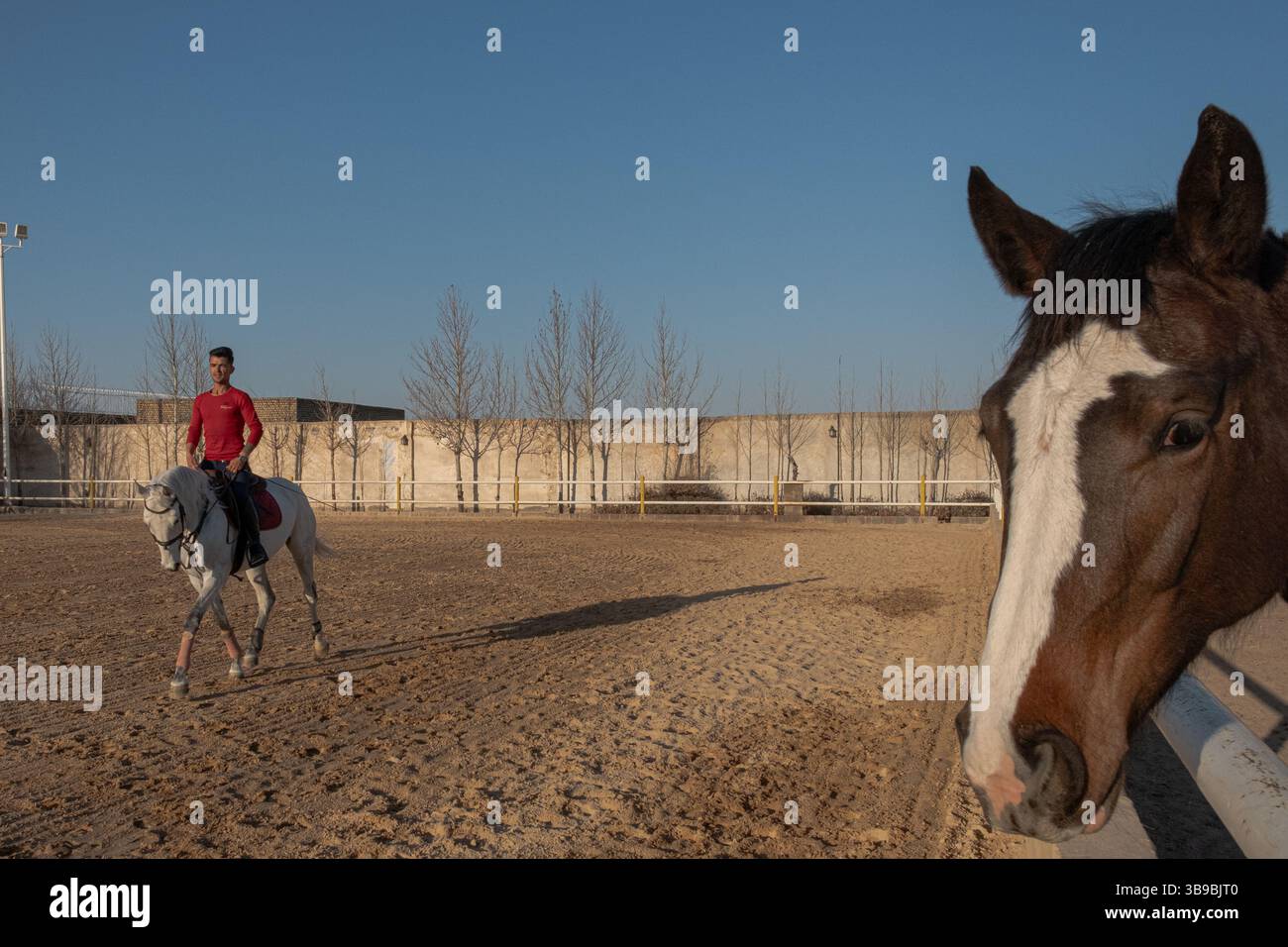 Pferdestall im Iran. Stockfoto