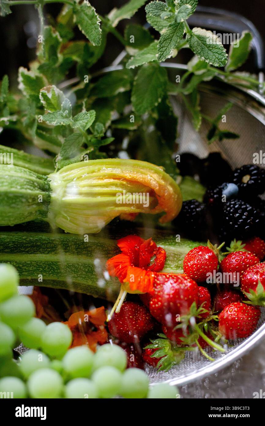 Zucchini-Blüte, Beeren, Minze unter Wasser Stockfoto