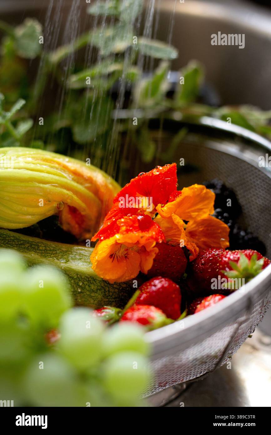 Zucchini-Blüte, Beeren, Minze unter Wasser Stockfoto