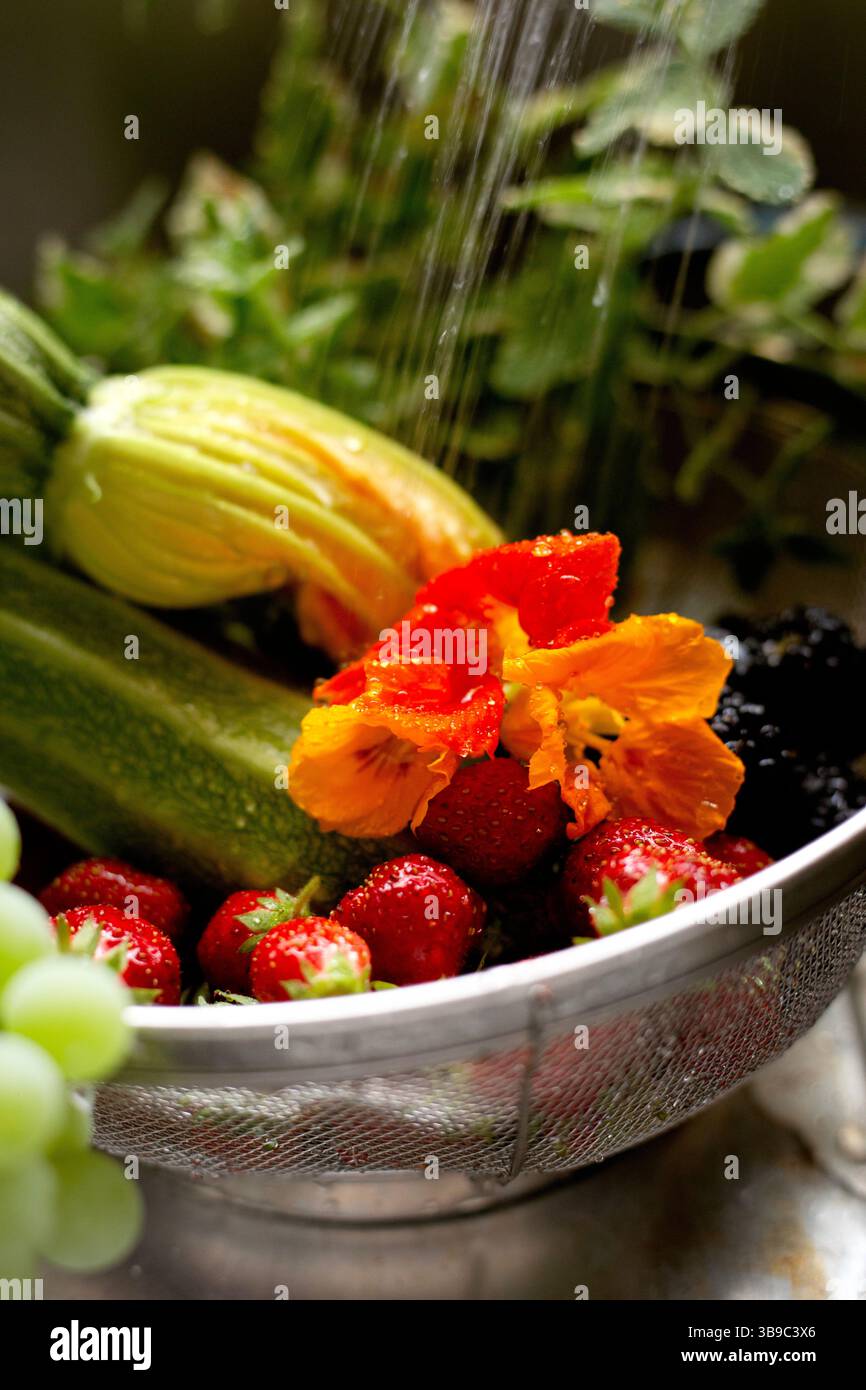 Zucchini-Blüte, Beeren, Minze unter Wasser Stockfoto
