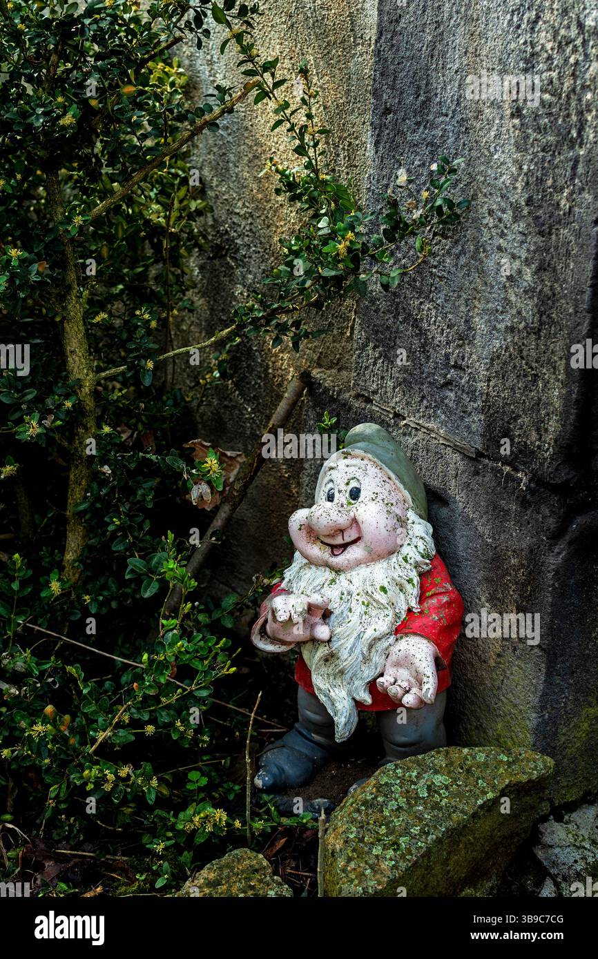 Gartenzwerg eingebettet zwischen Grün neben einer verwitterten Mauer in einer ruhigen Umgebung im Freien Stockfoto
