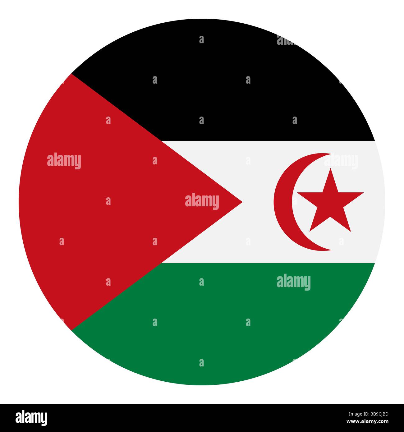Flagge der Arabischen Demokratischen Republik Saharaui. Flaggensymbol. Standardfarbe. Kreissymbol. Computerdarstellung. Digitale Illustration. Stock Vektor