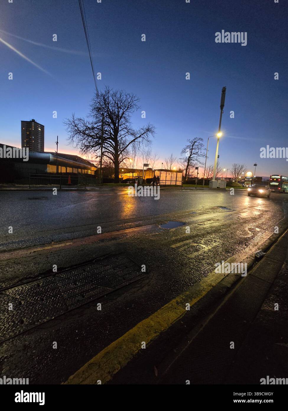 Eine Stadtstraße leuchtet in der Abenddämmerung, der nasse Straßenbelag glitzert mit Reflexen der Straßenbeleuchtung. Ein einsamer Baum und ein Turm stehen in der Silhouette vor dem Dämmerungshimmel. - Smartphone-aufgenommenes Stockfoto