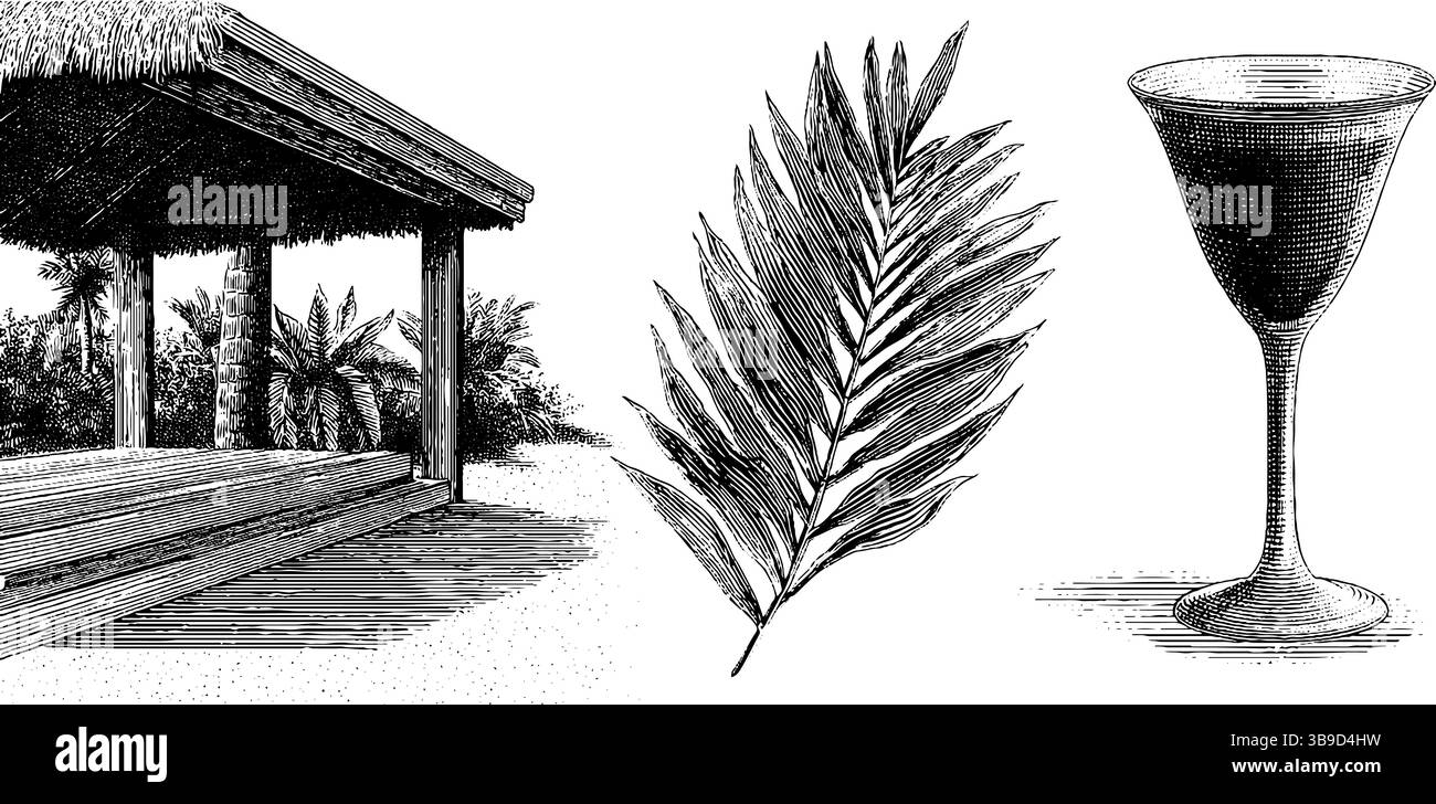 Gravierte tropische Strandhütte, Palmblatt und Illustration aus Cocktailglas. Stock Vektor