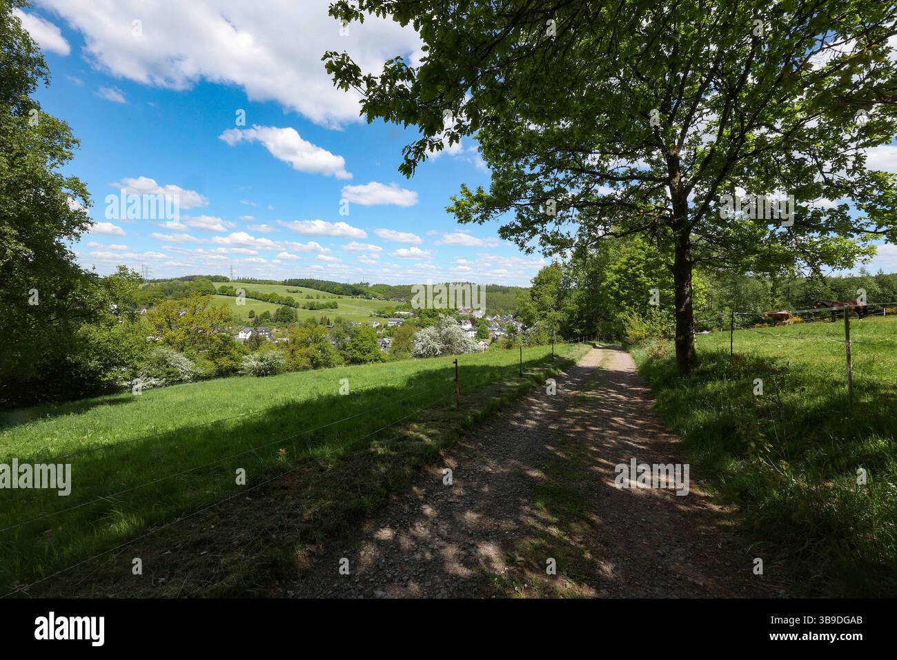 Frühlingstag Frühlingstag im Siegerland. Die Baeume Bäume und die Wiesen zeigen sich in sattem gruen grün wie hier in Siegen-Oberschelden. Der Himmel ist blau mit Schönwetterwolken Schönwetterwolken. Auch die naechsten Tage soll das Wetter sehr schön werden. Fruehling Frühling im Siegerland am 09.05.2025 in Siegen/Deutschland. *** Ein wunderschöner sonniger Frühlingstag im Siegerland die Bäume und Wiesen zeigen sich in sattem Grün, denn hier in Siegen Oberschelden ist der Himmel blau mit Schönwetterwolken Schönwetterwolken das Wetter sollte auch sein Stockfoto