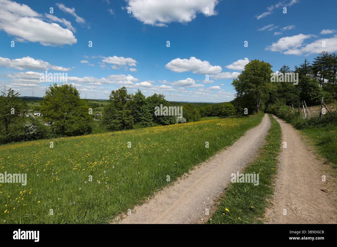 Frühlingstag Frühlingstag im Siegerland. Die Baeume Bäume und die Wiesen zeigen sich in sattem gruen grün wie hier in Siegen-Oberschelden. Der Himmel ist blau mit Schönwetterwolken Schönwetterwolken. Auch die naechsten Tage soll das Wetter sehr schön werden. Fruehling Frühling im Siegerland am 09.05.2025 in Siegen/Deutschland. *** Ein wunderschöner sonniger Frühlingstag im Siegerland die Bäume und Wiesen zeigen sich in sattem Grün, denn hier in Siegen Oberschelden ist der Himmel blau mit Schönwetterwolken Schönwetterwolken das Wetter sollte auch sein Stockfoto