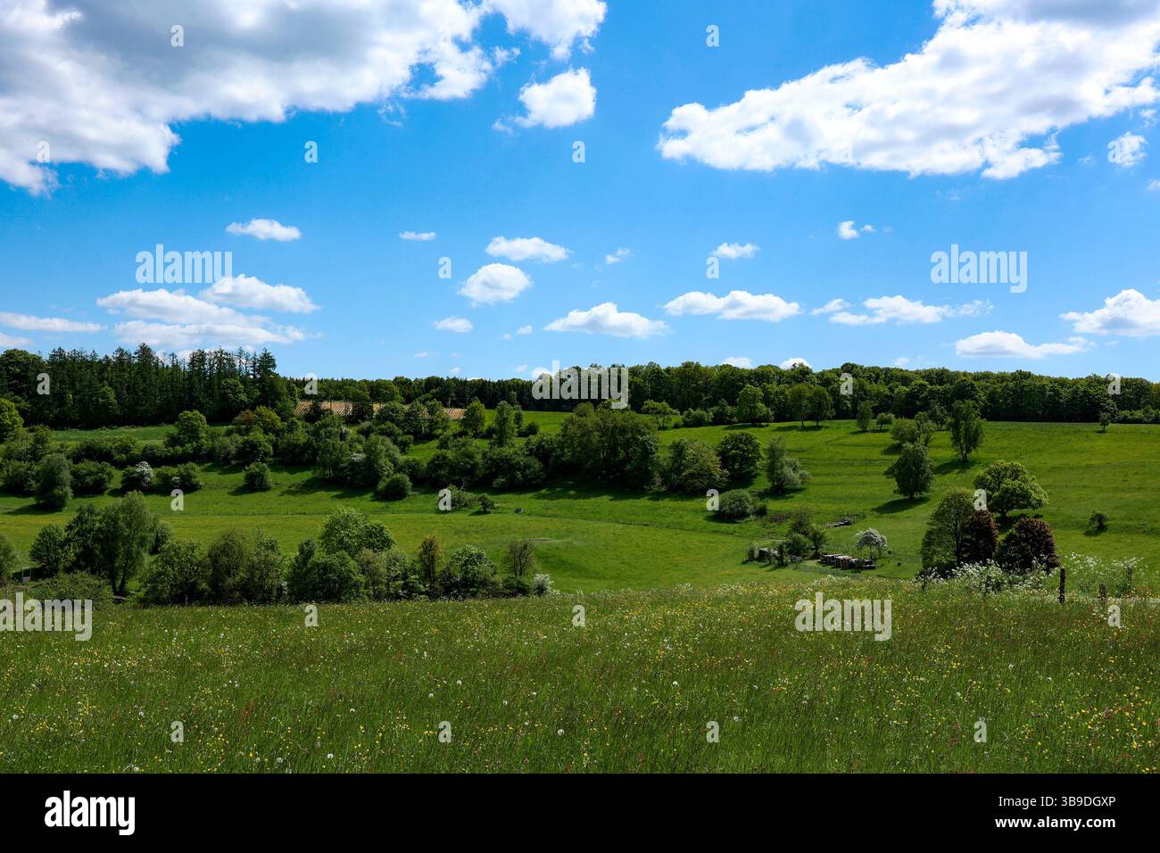 Frühlingstag Frühlingstag im Siegerland. Die Baeume Bäume und die Wiesen zeigen sich in sattem gruen grün wie hier in Siegen-Oberschelden. Der Himmel ist blau mit Schönwetterwolken Schönwetterwolken. Auch die naechsten Tage soll das Wetter sehr schön werden. Fruehling Frühling im Siegerland am 09.05.2025 in Siegen/Deutschland. *** Ein wunderschöner sonniger Frühlingstag im Siegerland die Bäume und Wiesen zeigen sich in sattem Grün, denn hier in Siegen Oberschelden ist der Himmel blau mit Schönwetterwolken Schönwetterwolken das Wetter sollte auch sein Stockfoto