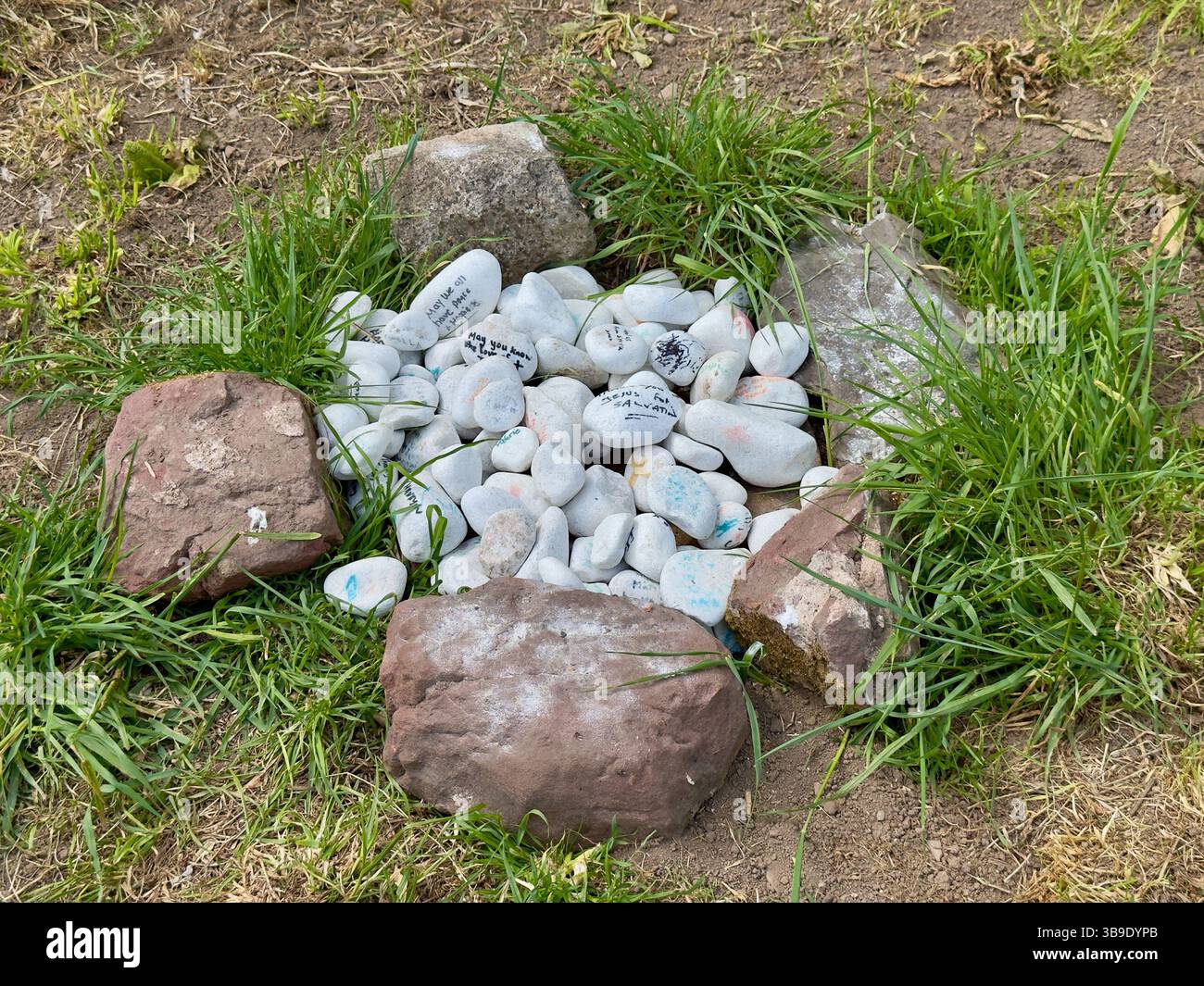 Eine große Anzahl von bemalten Steinen, überwiegend weiß, mit schriftlichen Nachrichten darauf, in einem Steinnest auf dem Boden. Stockfoto