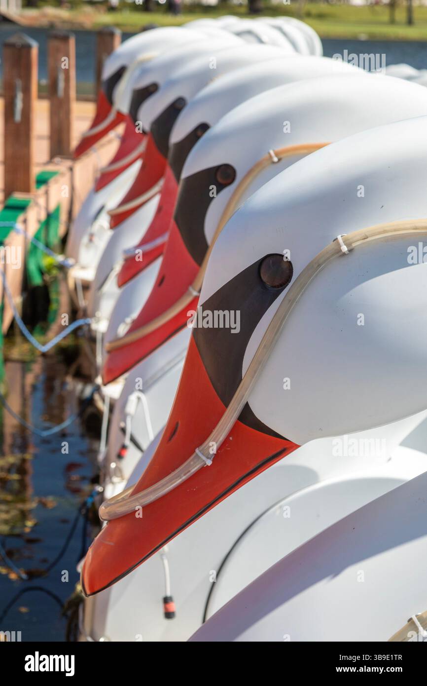 New Orleans, Louisiana - Bootsverleih am Big Lake im New Orleans City Park. Stockfoto