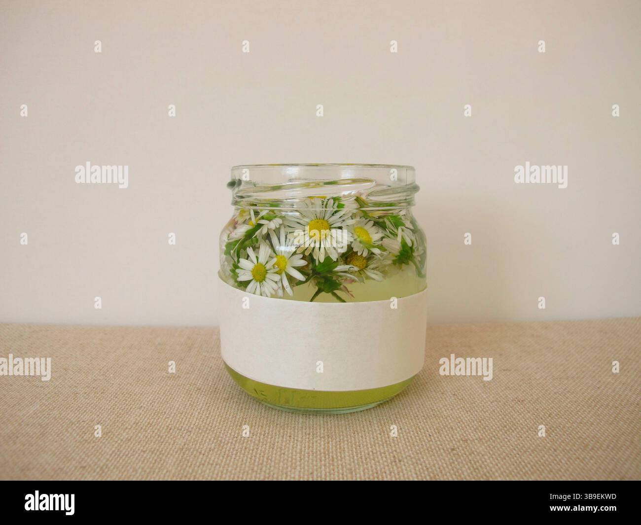 Hausgemachte Gänseblümchen-Tinktur in einem Glas Stockfoto