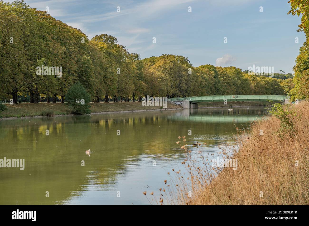 Decksteiner Teich im Kölner Grüngürtel Stockfoto