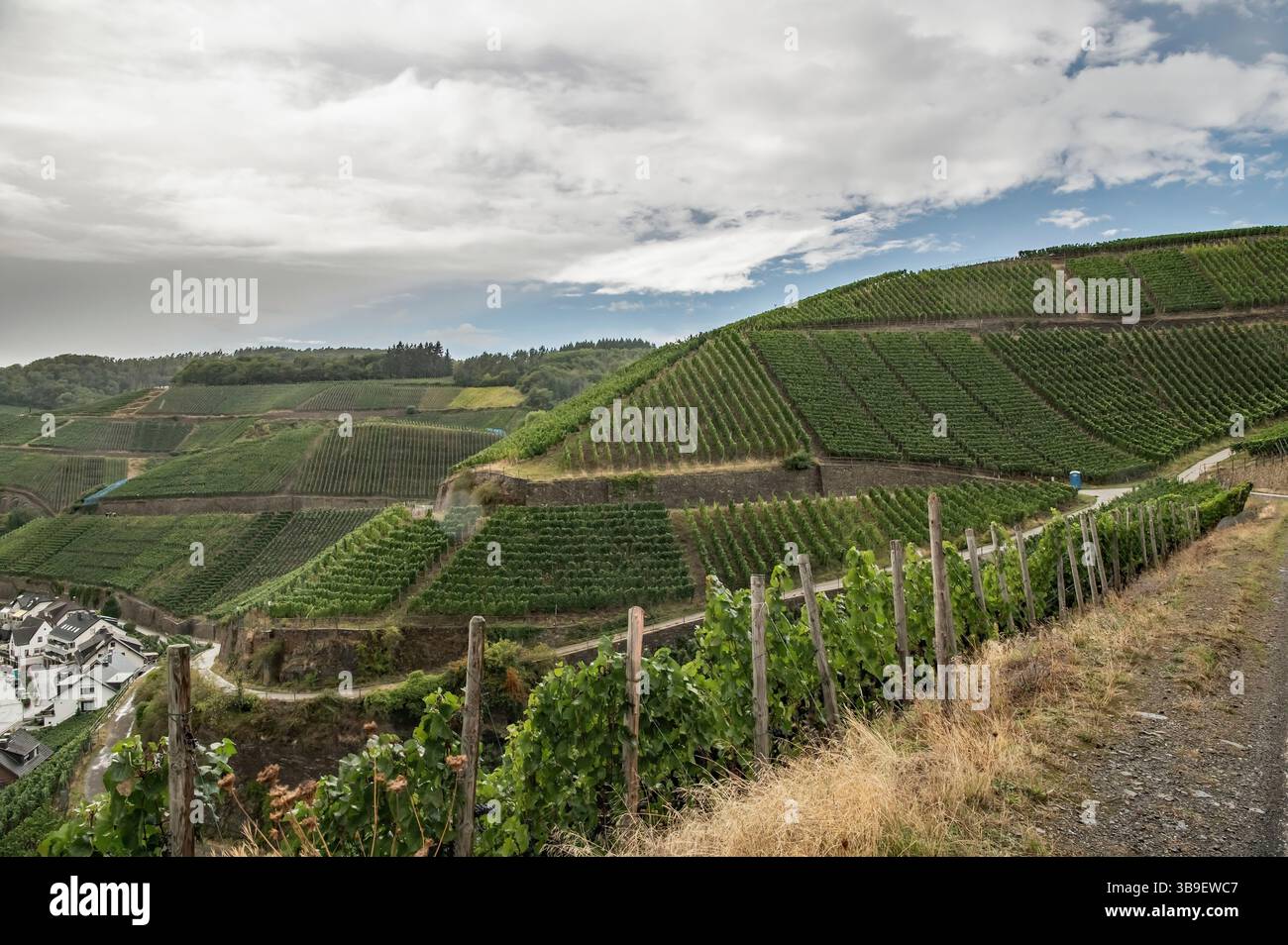 AHR-Tal bei Dernau Stockfoto