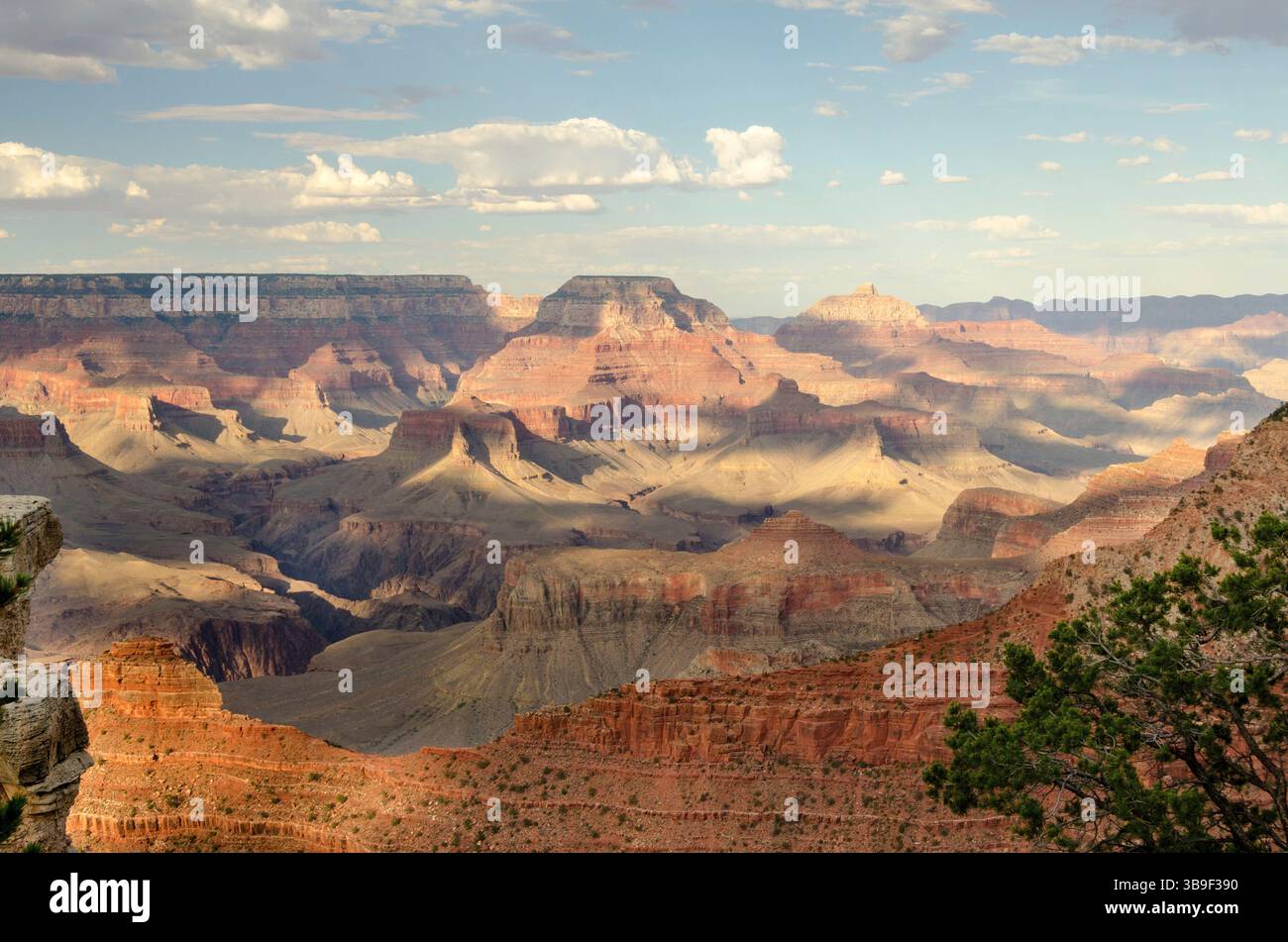 Die Schatten am Grand Canyon werden länger Stockfoto