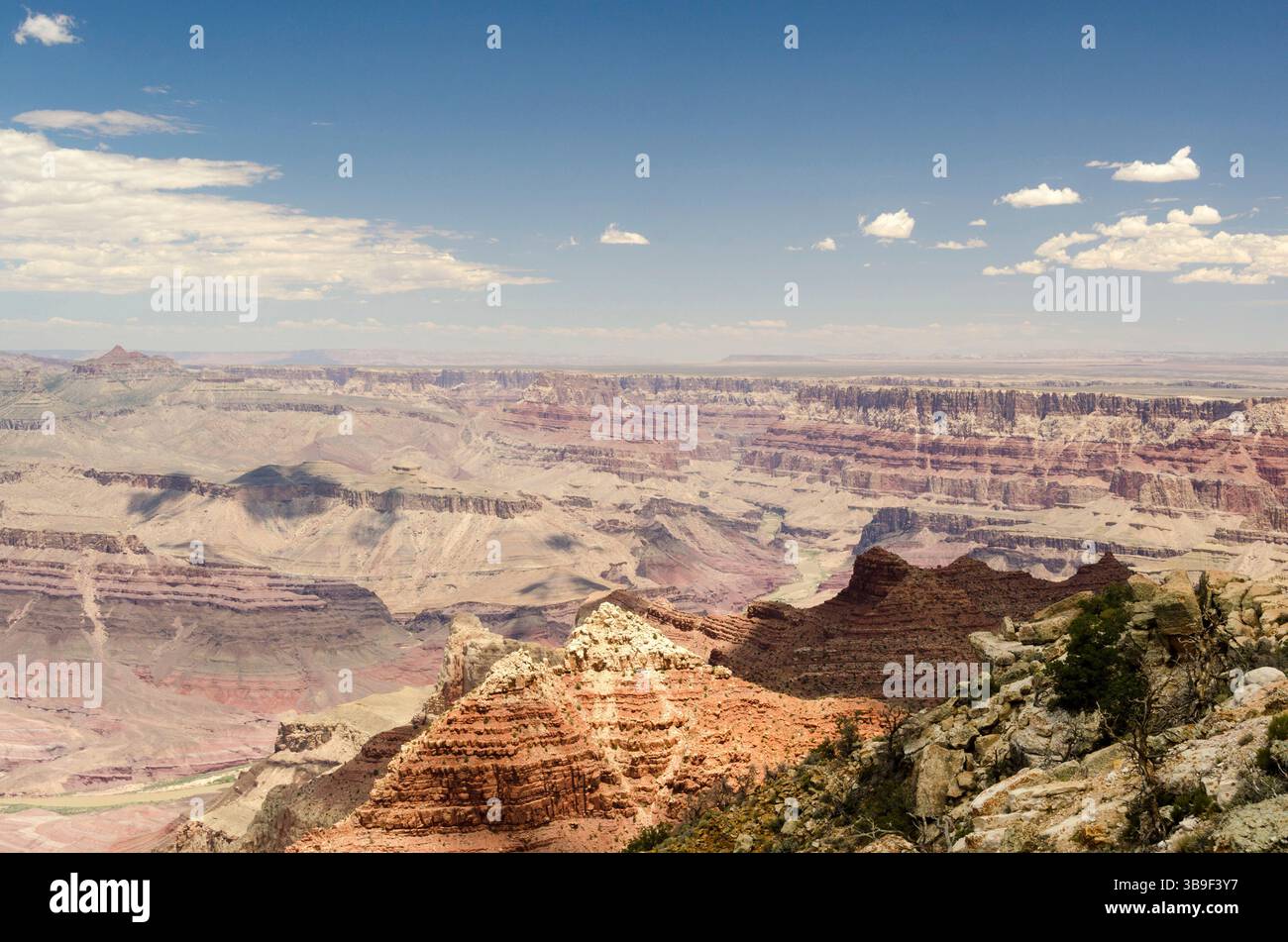 Atemberaubender Blick auf den Colorado River Stockfoto