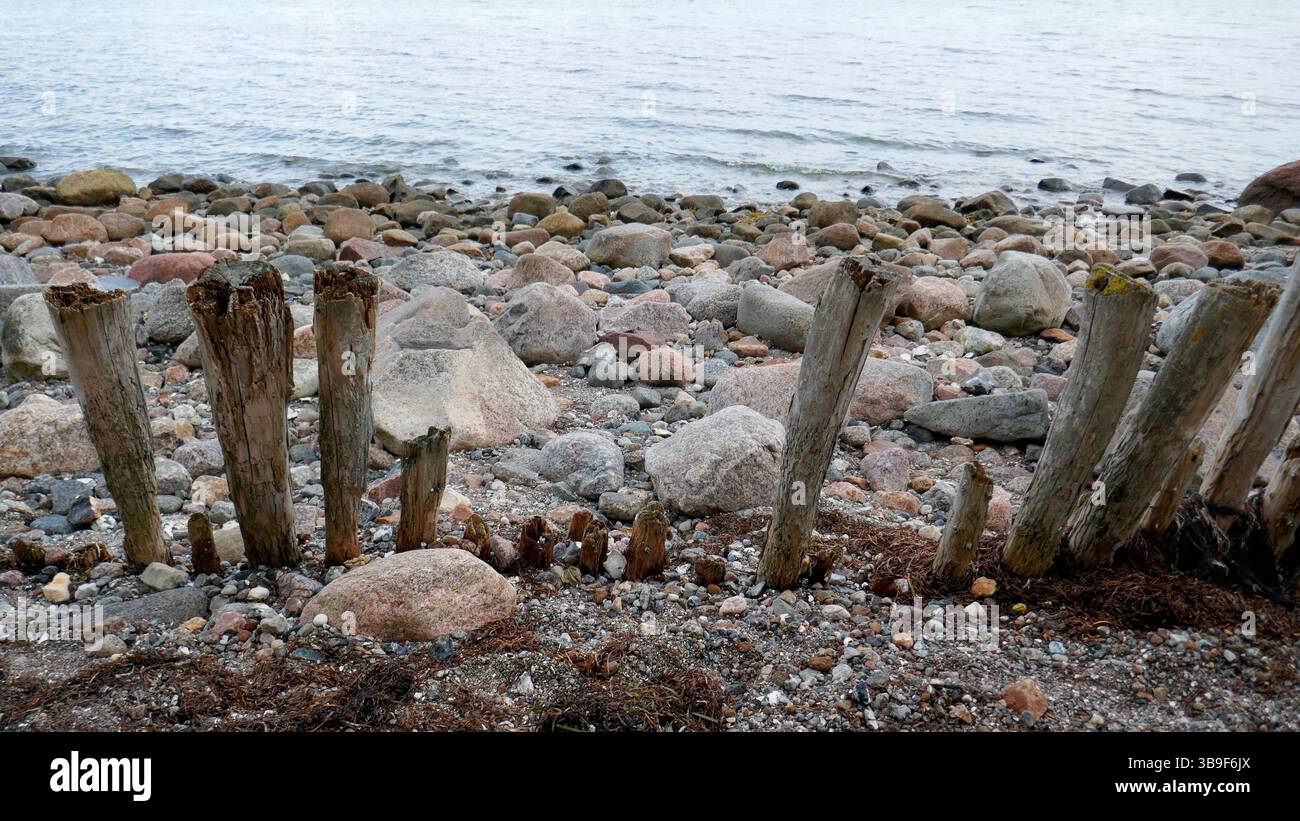 Alte Holzpfähle an einem steinigen Strand Stockfoto