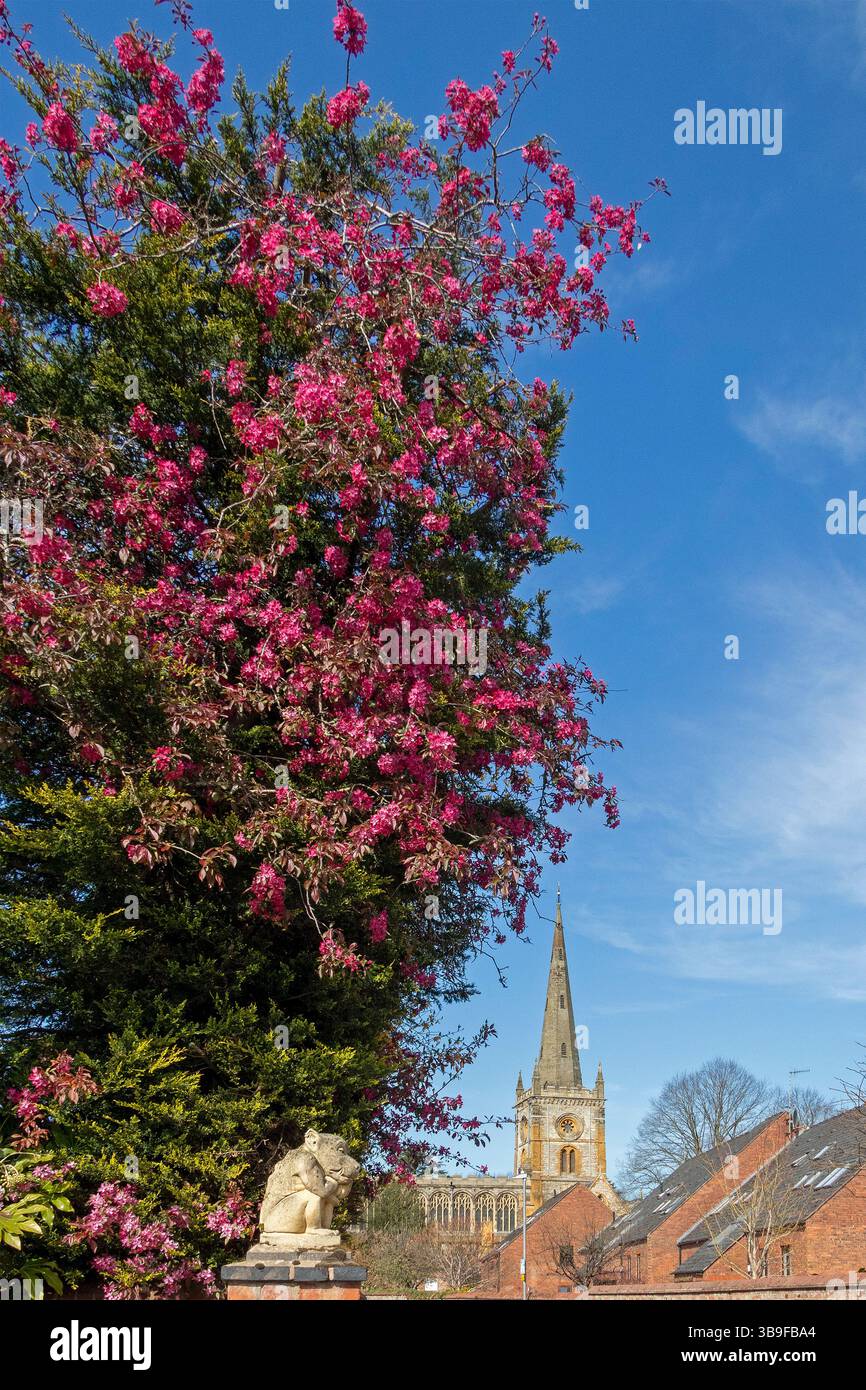 Mythische Kreatur, die unter dem blühenden Busch sitzt und die Holy Trinity Church, Stratford-upon-Avon, Warwickshire, England, Großbritannien ansieht Stockfoto