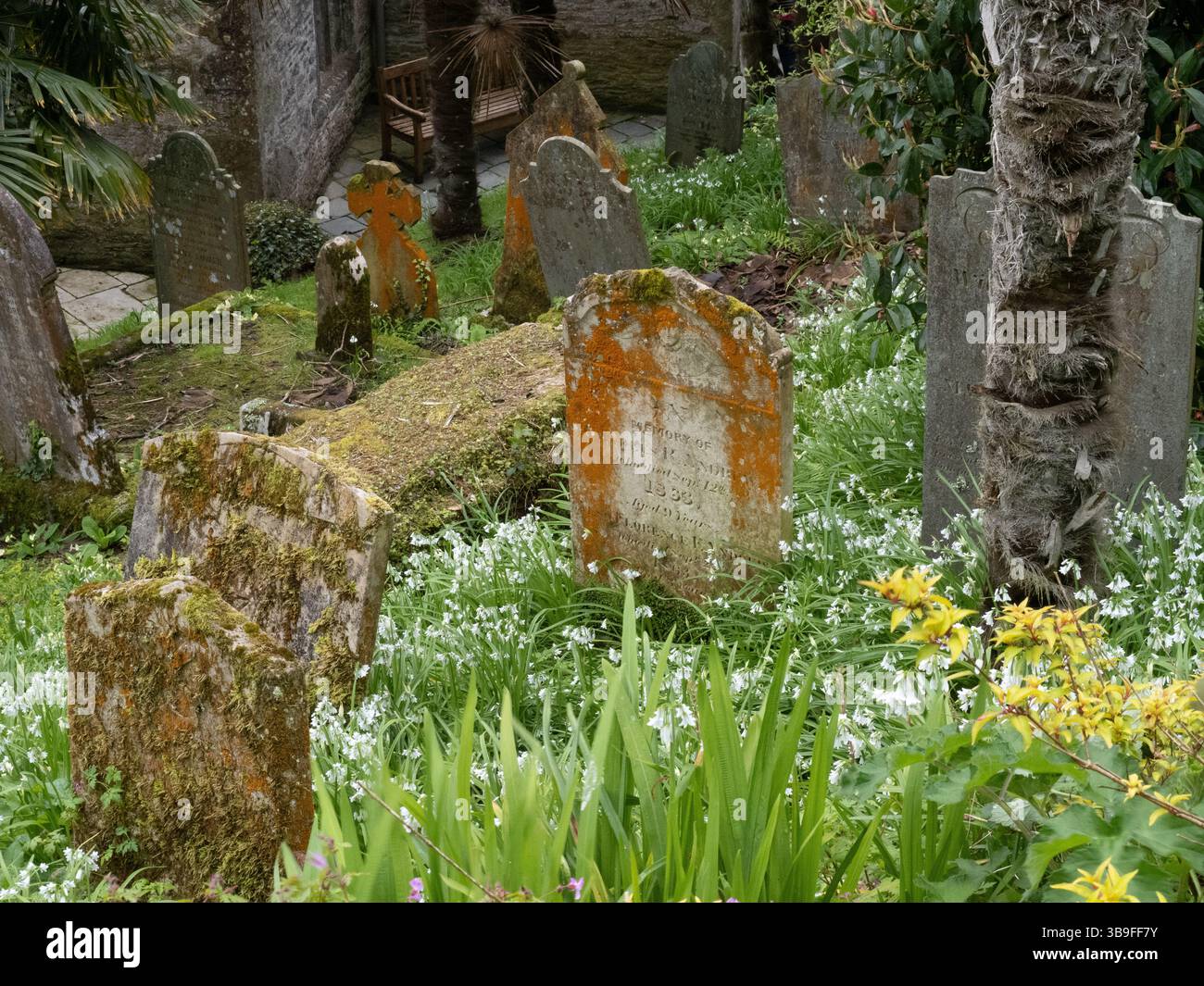 Grabstones, St. in Roseland, Cornwall Stockfoto