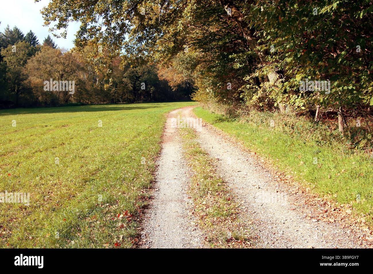 Ein Spaziergang durch den Park Stockfoto