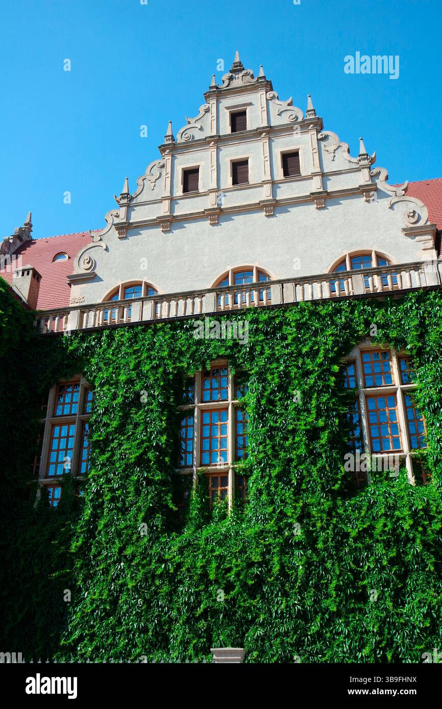 Alte Architektur mit wildem Wein in Posen, Posen Stockfoto