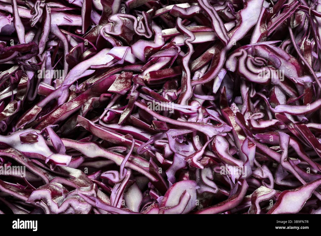 Rotkohl Blaukohl frisch geschnitten Stockfoto