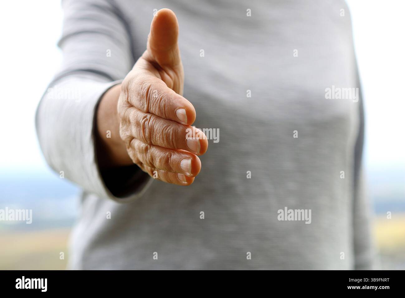 Begrüßung mit einem Handschlag Stockfoto