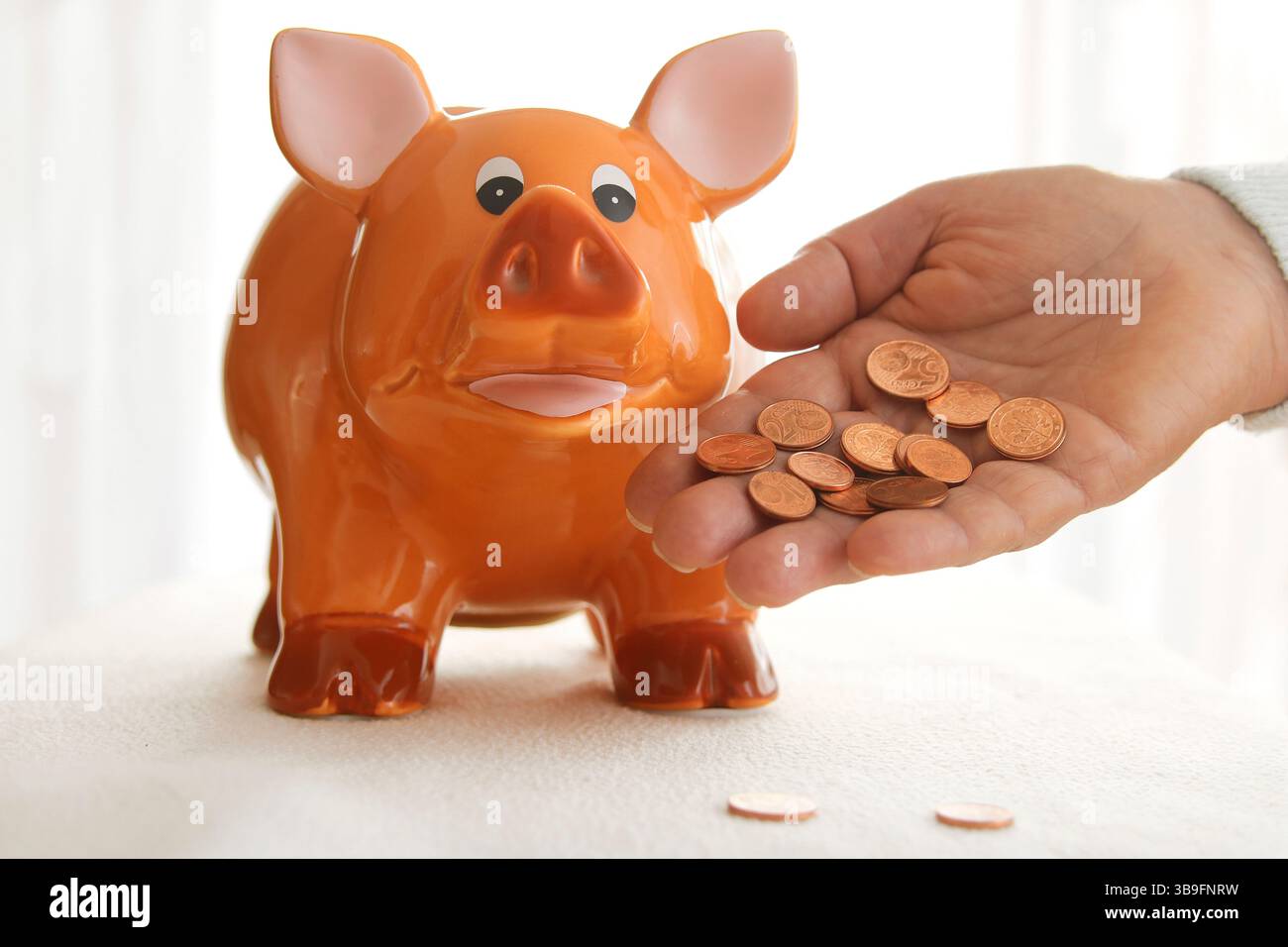 Kleine Herden produzieren auch Gülle Stockfoto