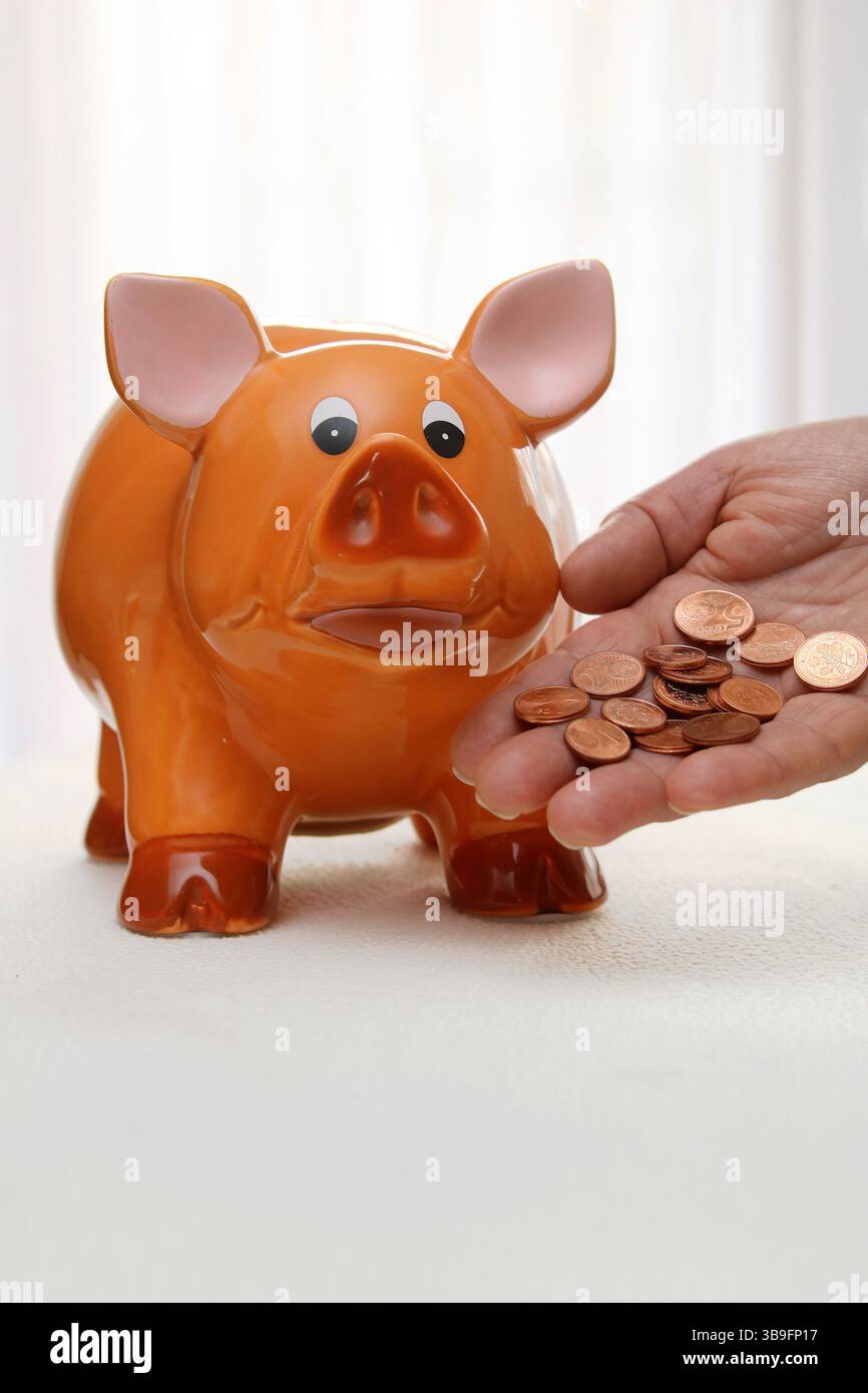 Kleine Herden produzieren auch Gülle Stockfoto