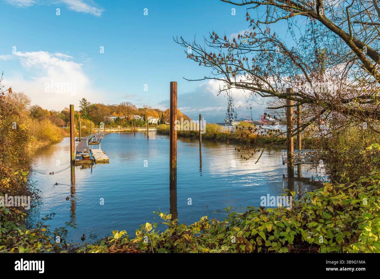 Kleiner Hafen für Sportboote in Hamburg-Teufelsbrück an der Elbe im Frühjahr Stockfoto