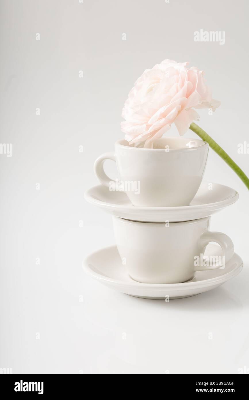 Gestapelte, elegante weiße Tassen mit einer zarten, rosa Rose, die vor einem weichen weißen Hintergrund steht und eine ruhige, frühlingshafte Ästhetik verkörpert. Stockfoto